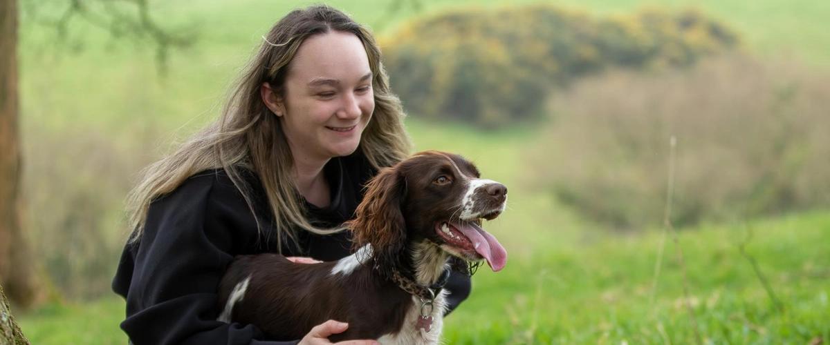 A dog enjoying a solo walk in Taunton