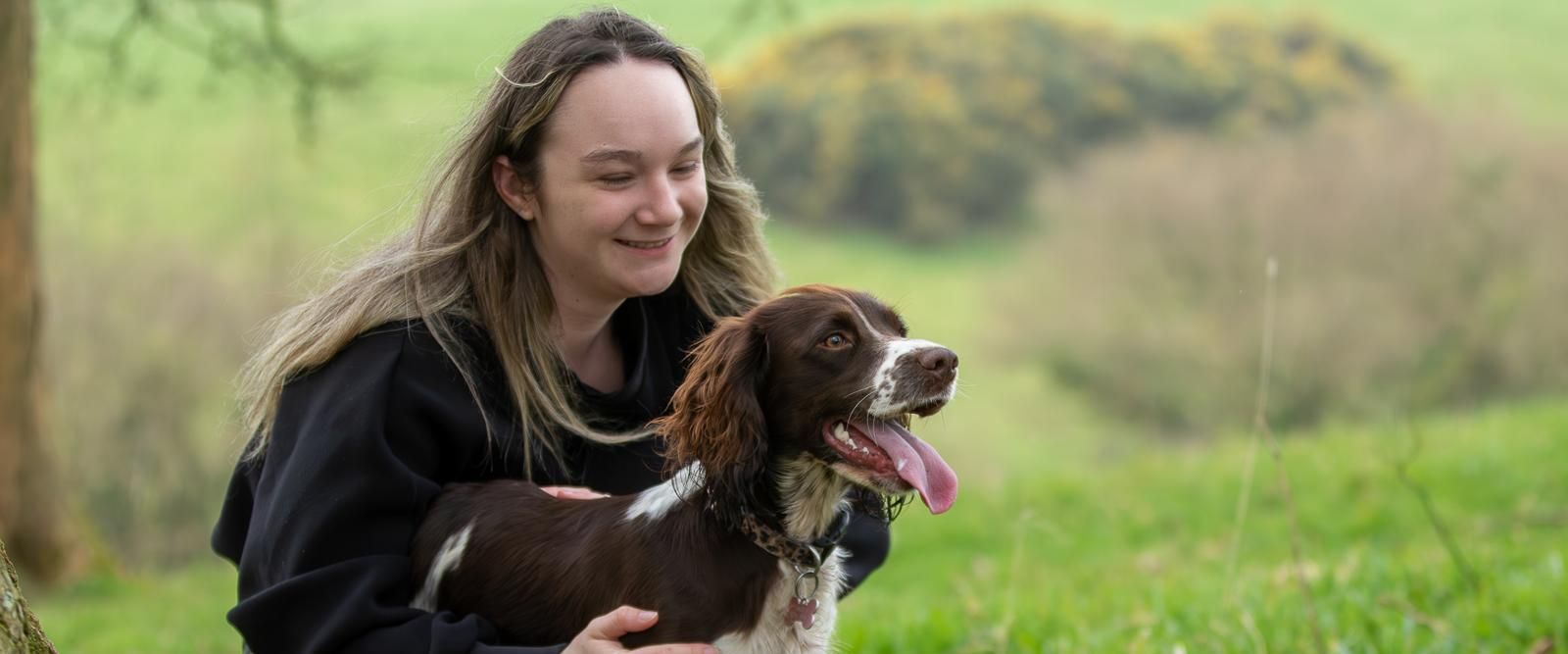 A dog enjoying a solo walk in Taunton