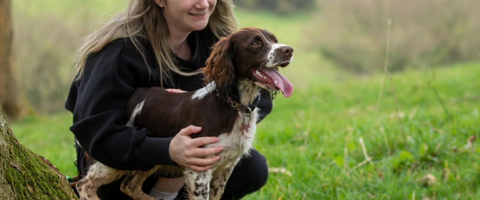 A dog enjoying a walk in the countryside near Taunton, Somerset