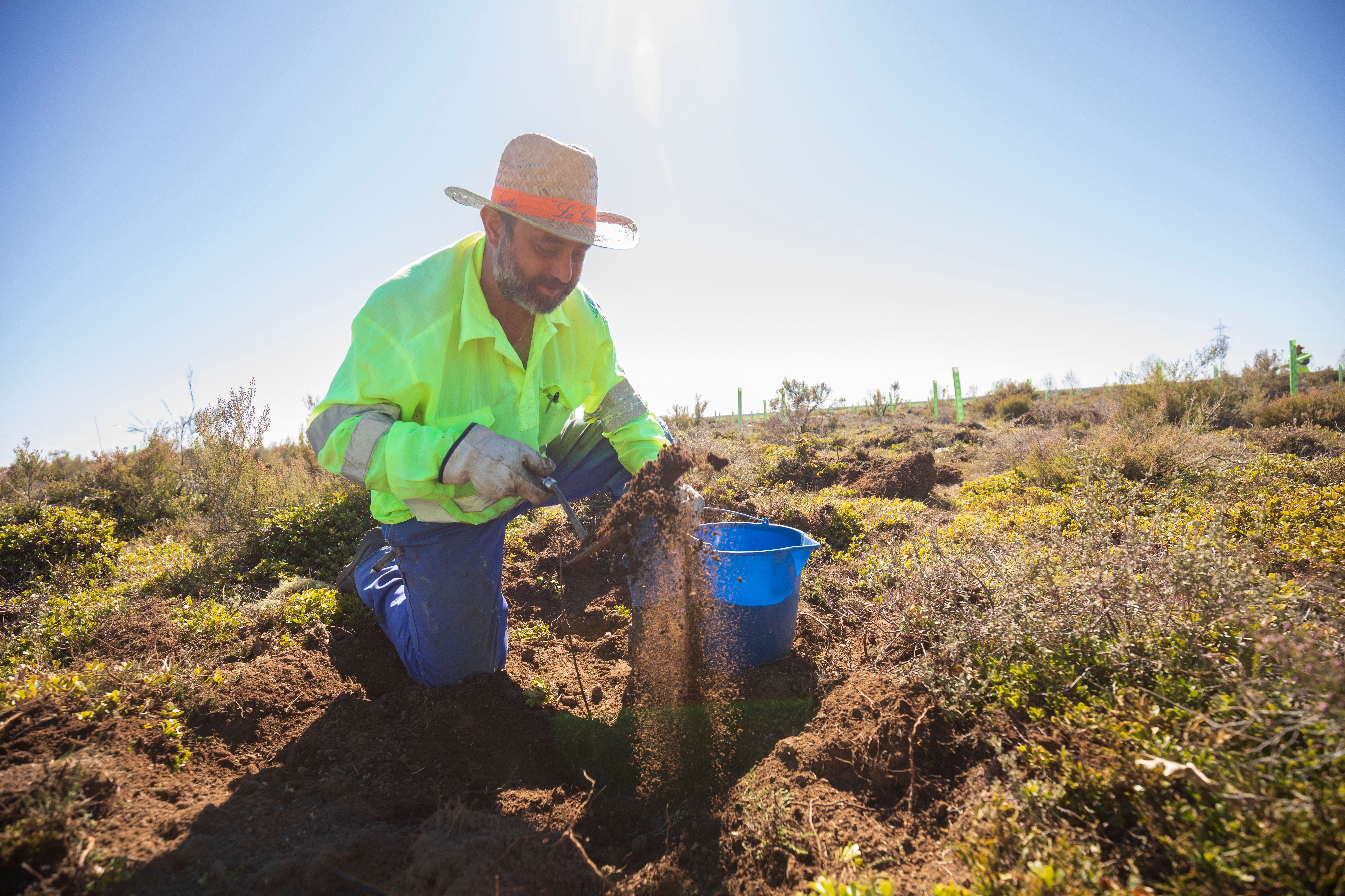 Restoring land and soil