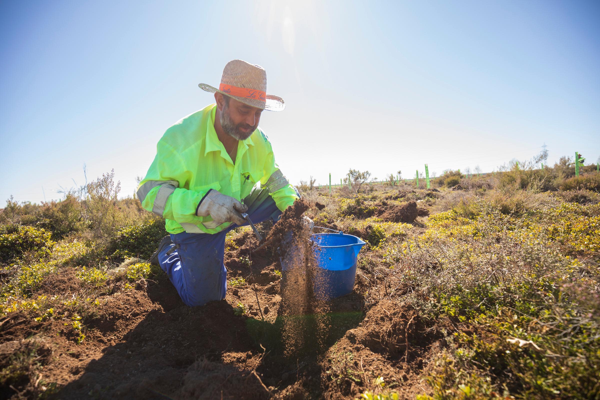 Restoring land and soil