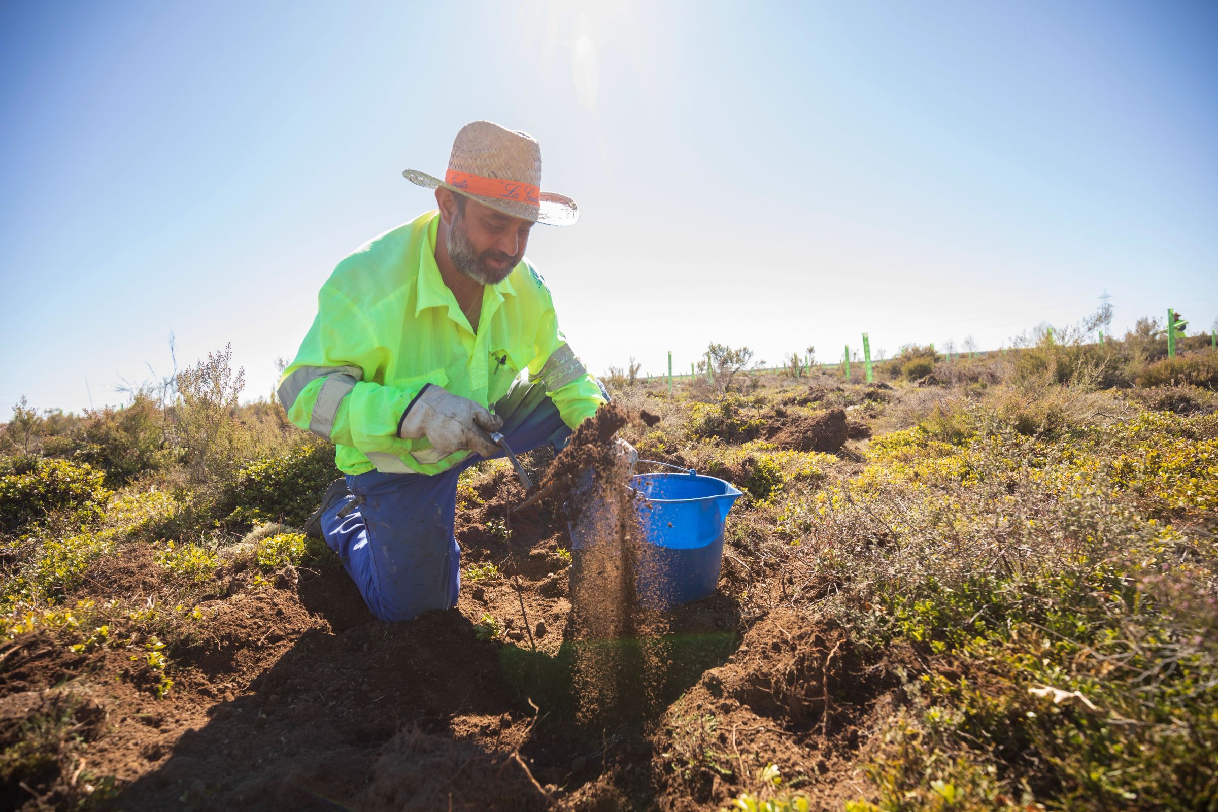 Restoring land and soil