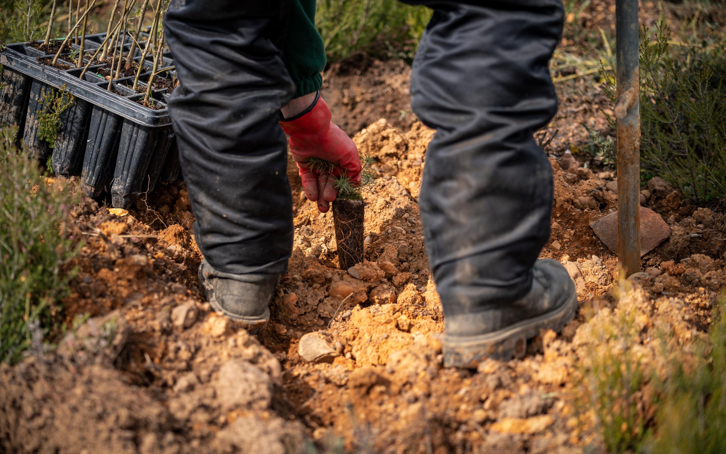 Working on the field