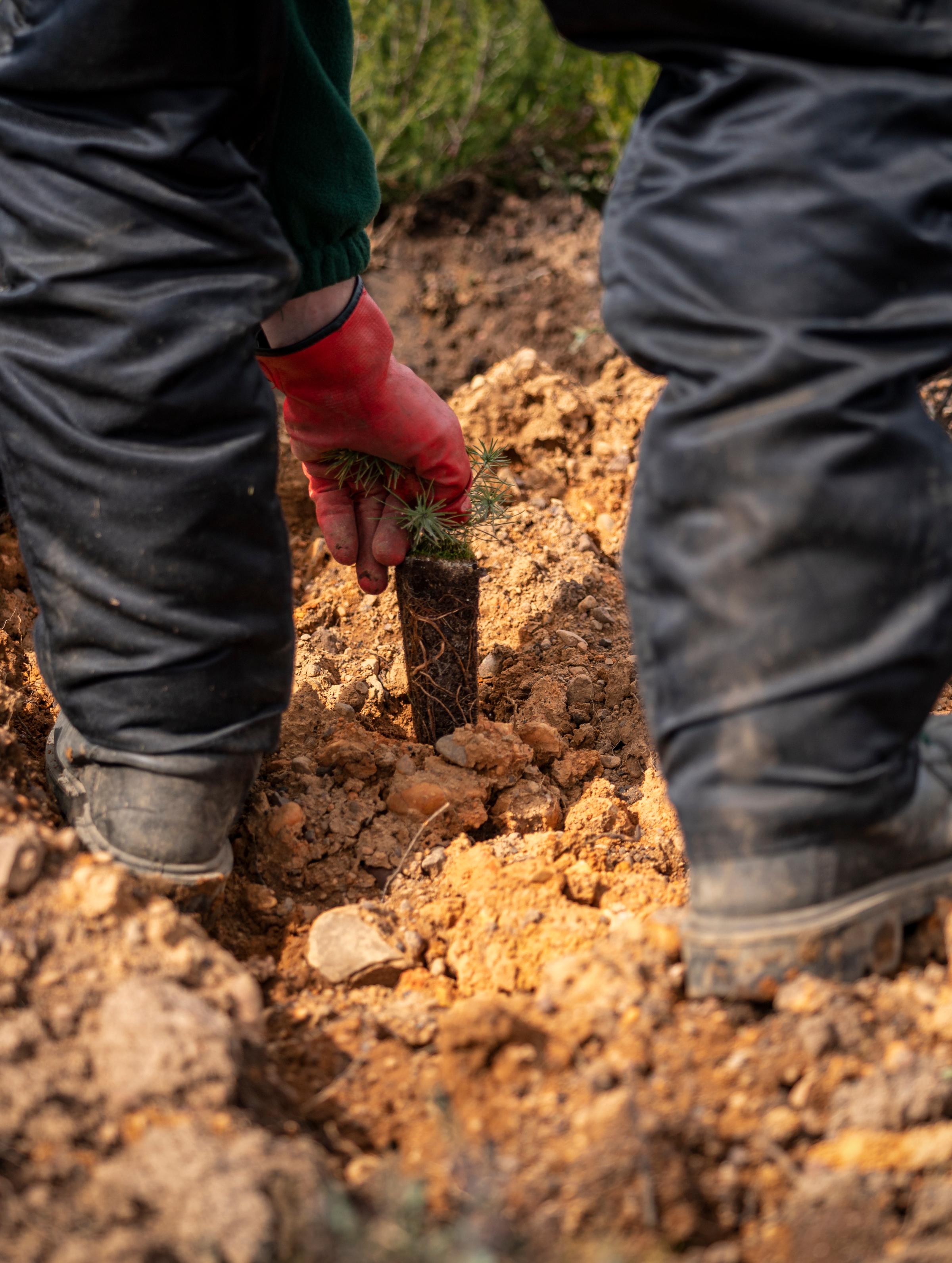 Land Life: A Decade of Nature Restoration and Innovation