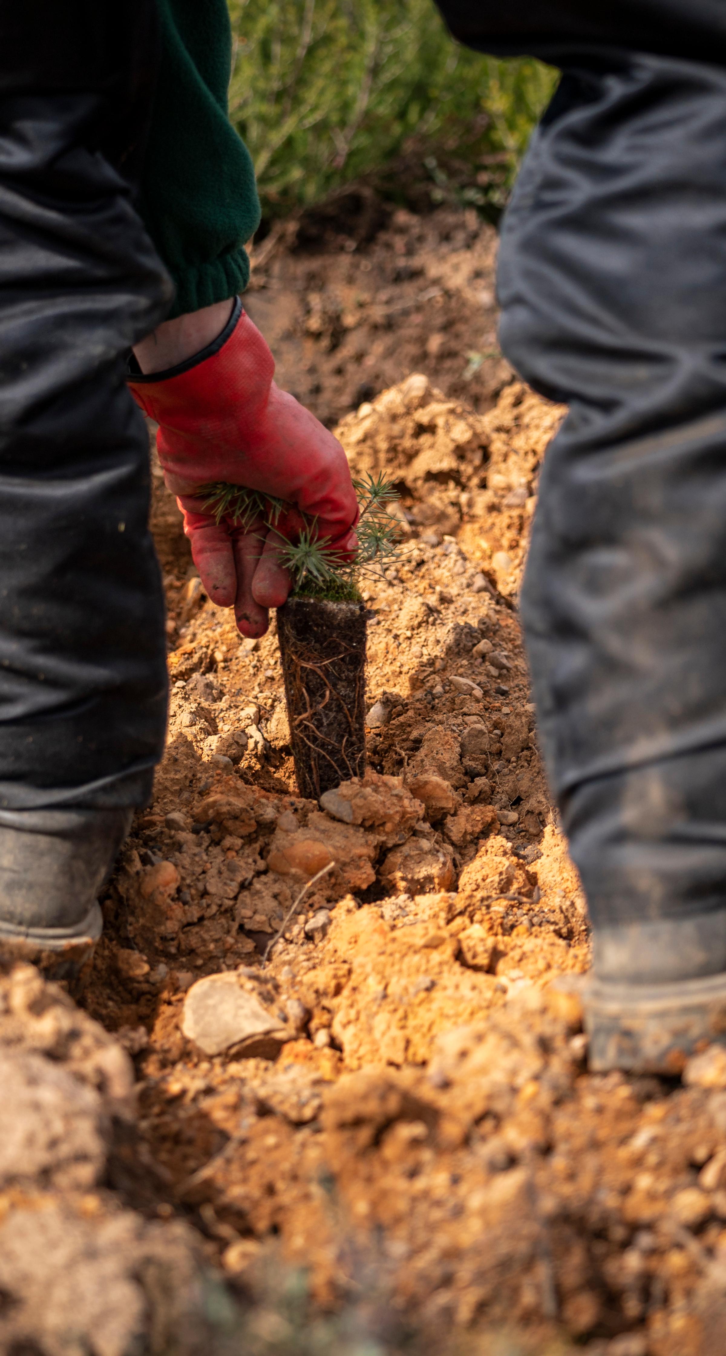Working on the field