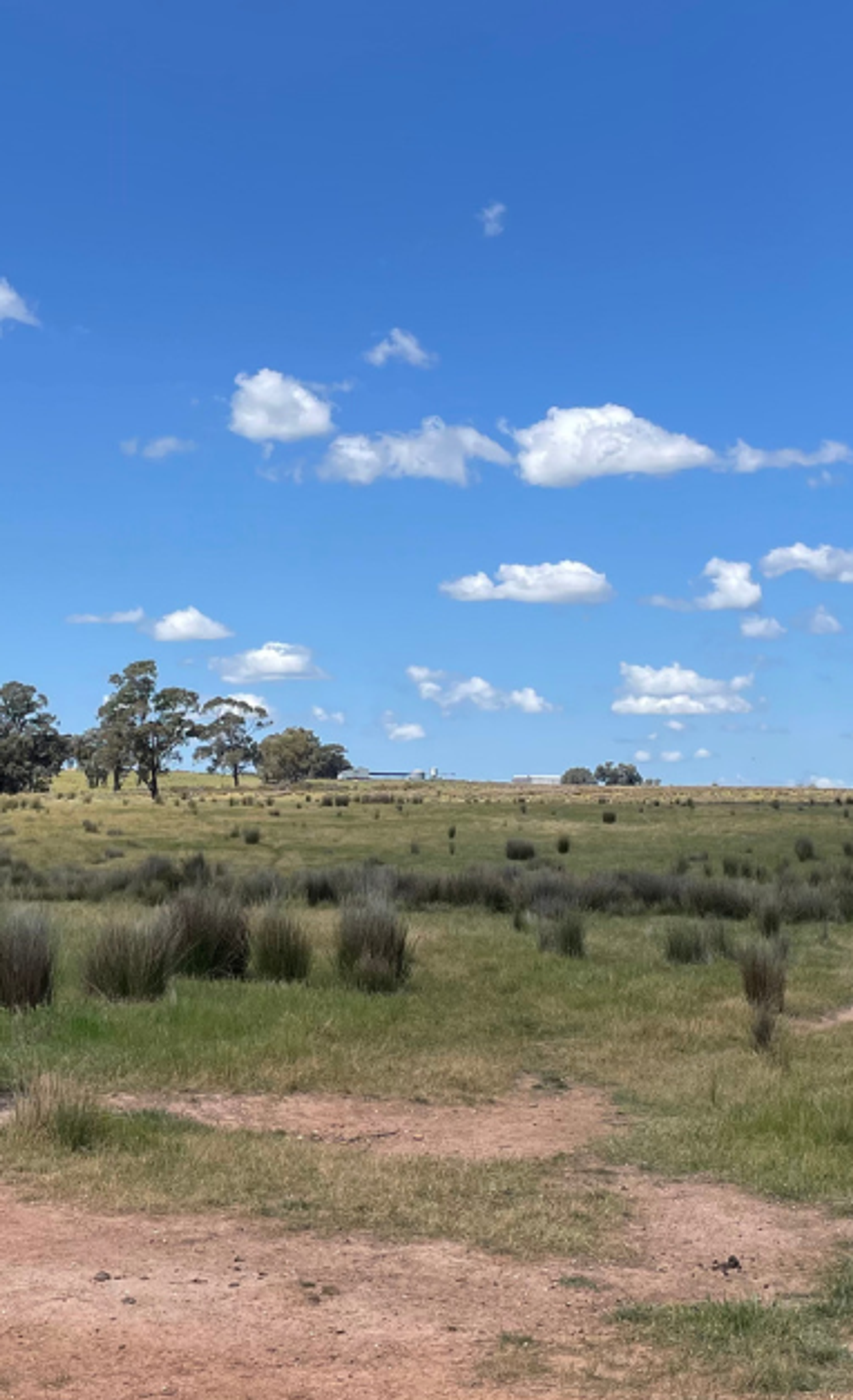 Degraded land in Victoria