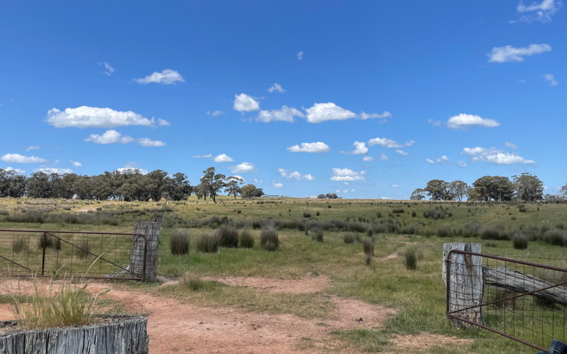Degraded land in Victoria