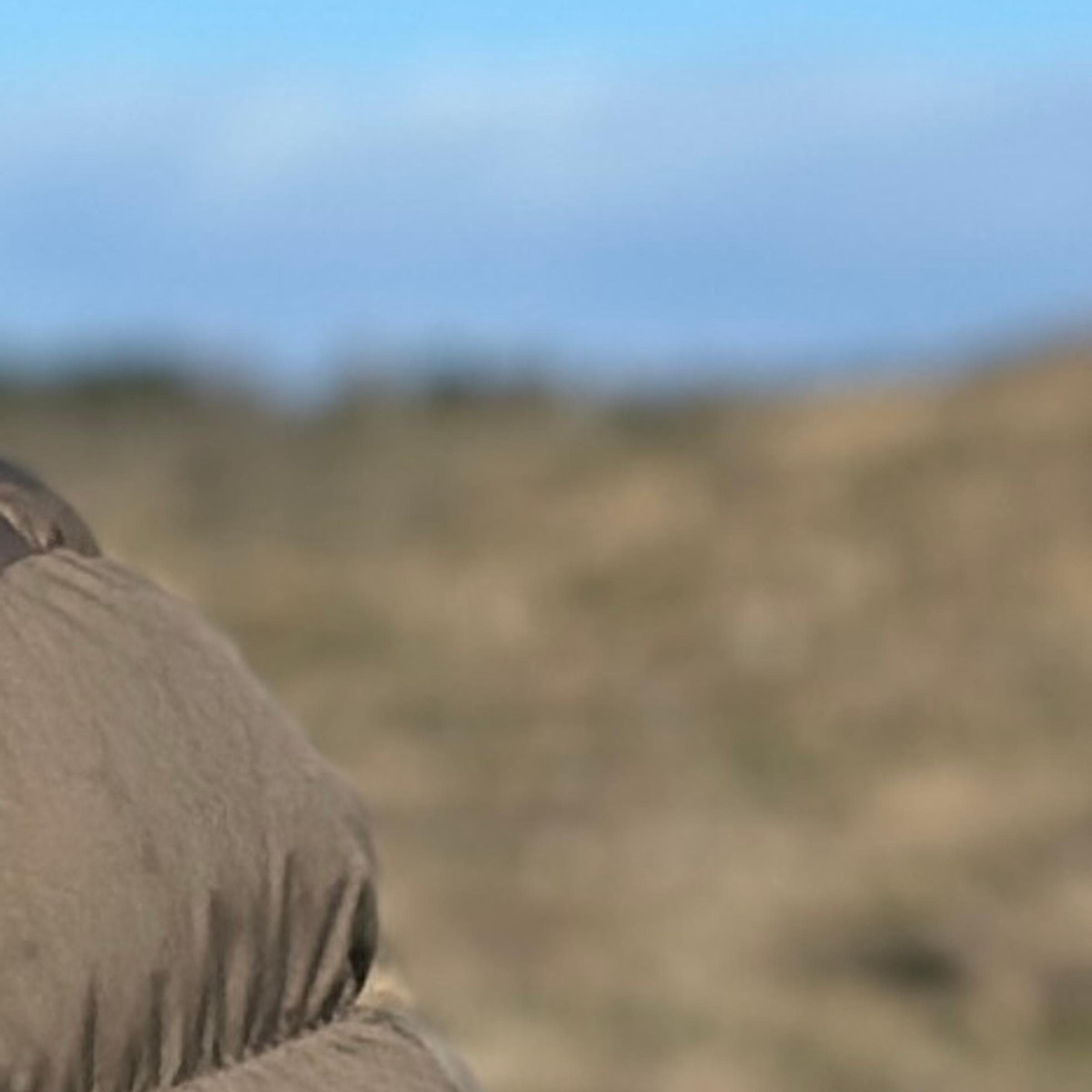 JOSÉ LUIS SANZ ZUBIETA, ALCALDE DE ARGUEDAS