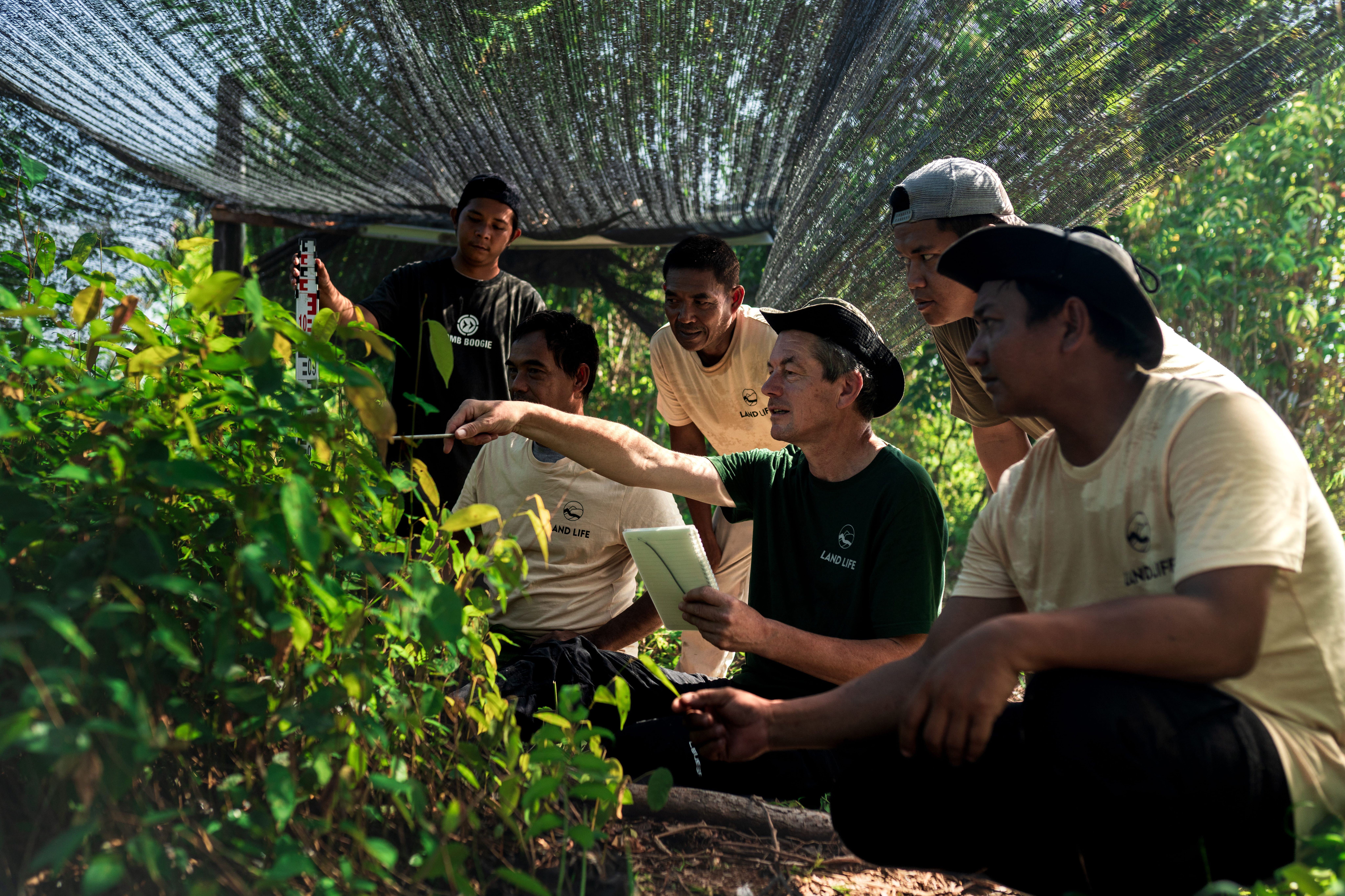 People looking at plants in local nursery