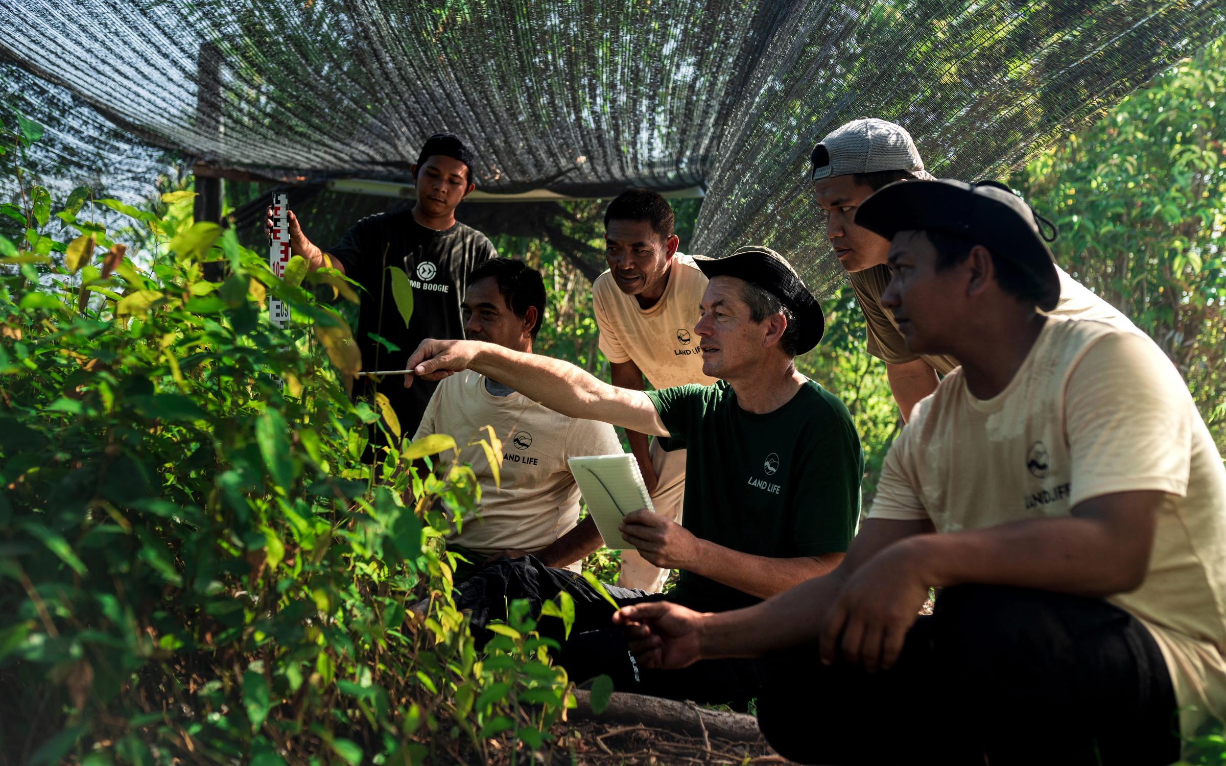 People looking at plants in local nursery