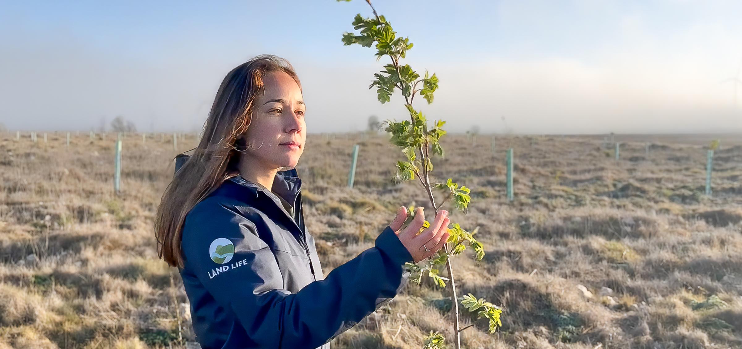 Land Life: A Decade of Nature Restoration and Innovation