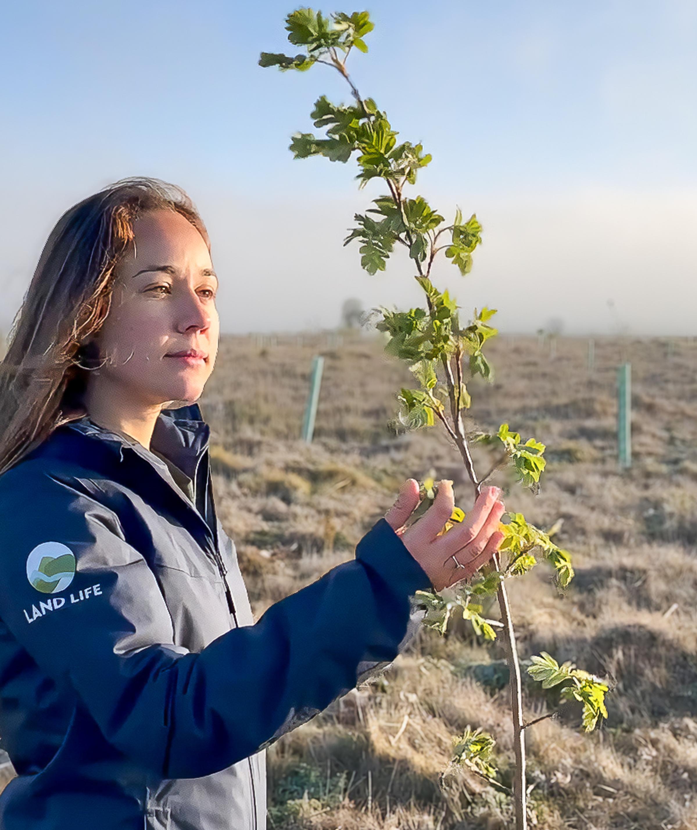 Land Life: A Decade of Nature Restoration and Innovation