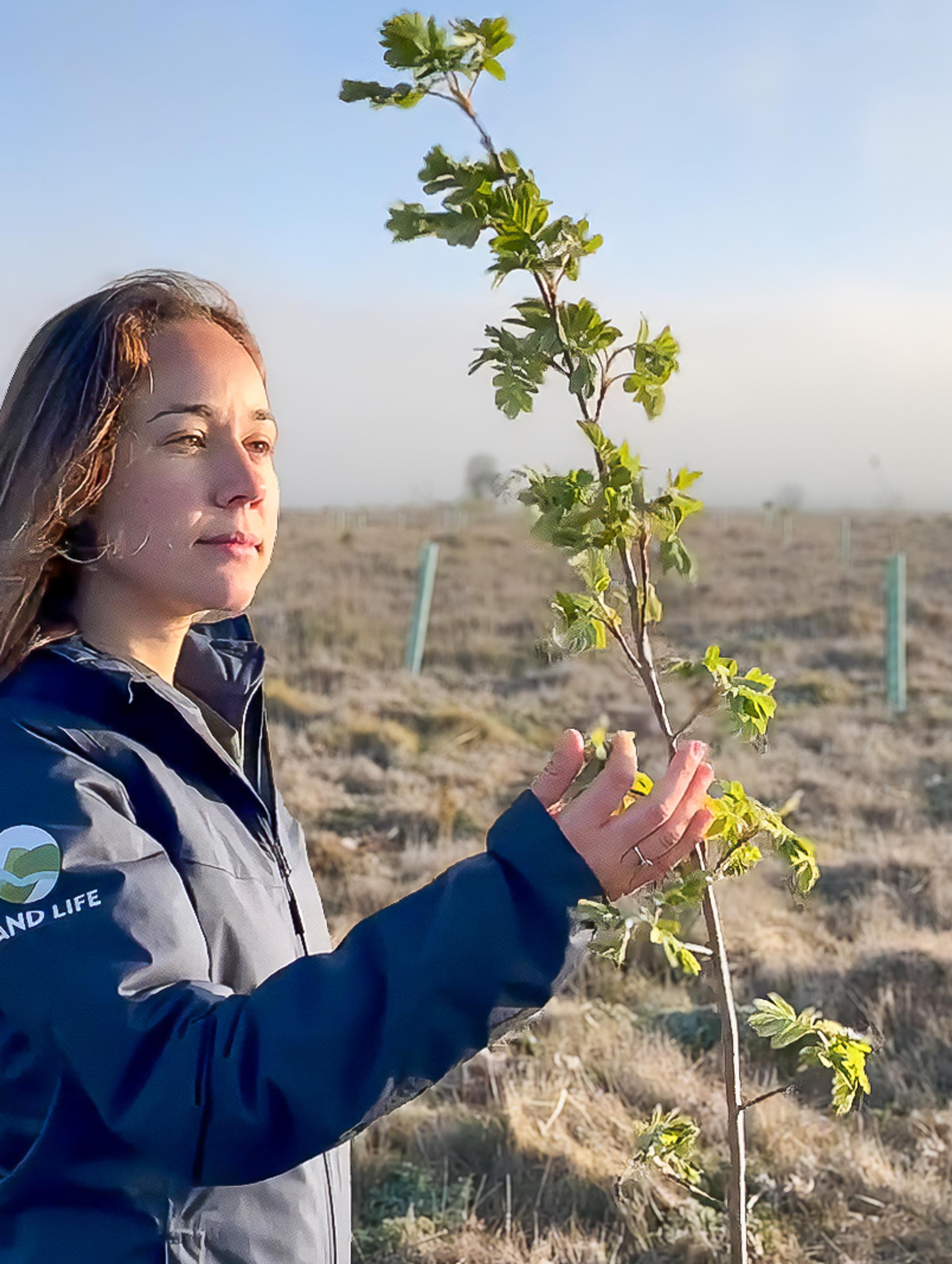 Land Life: A Decade of Nature Restoration and Innovation