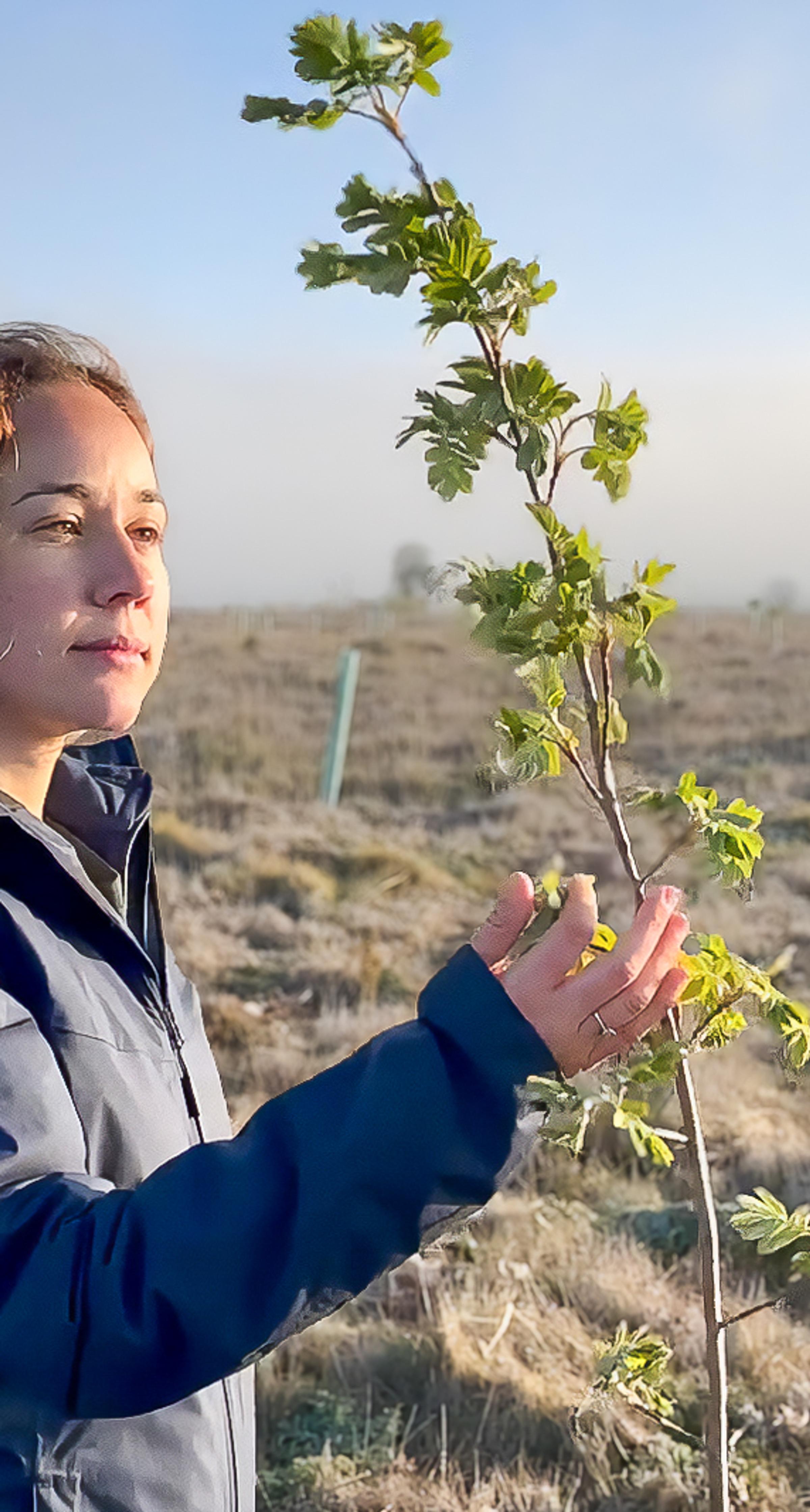 Working on the field