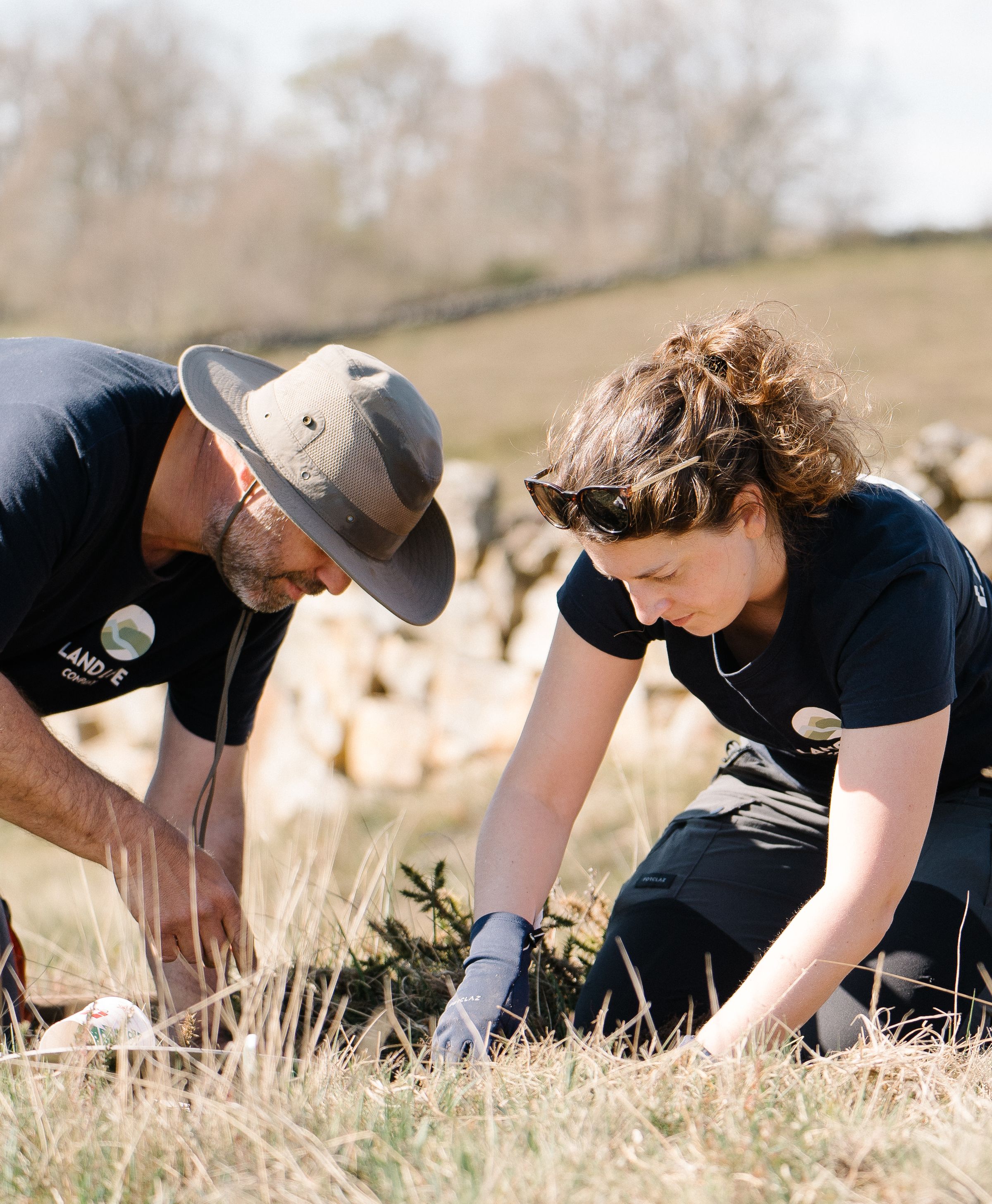soil recovery and resilience