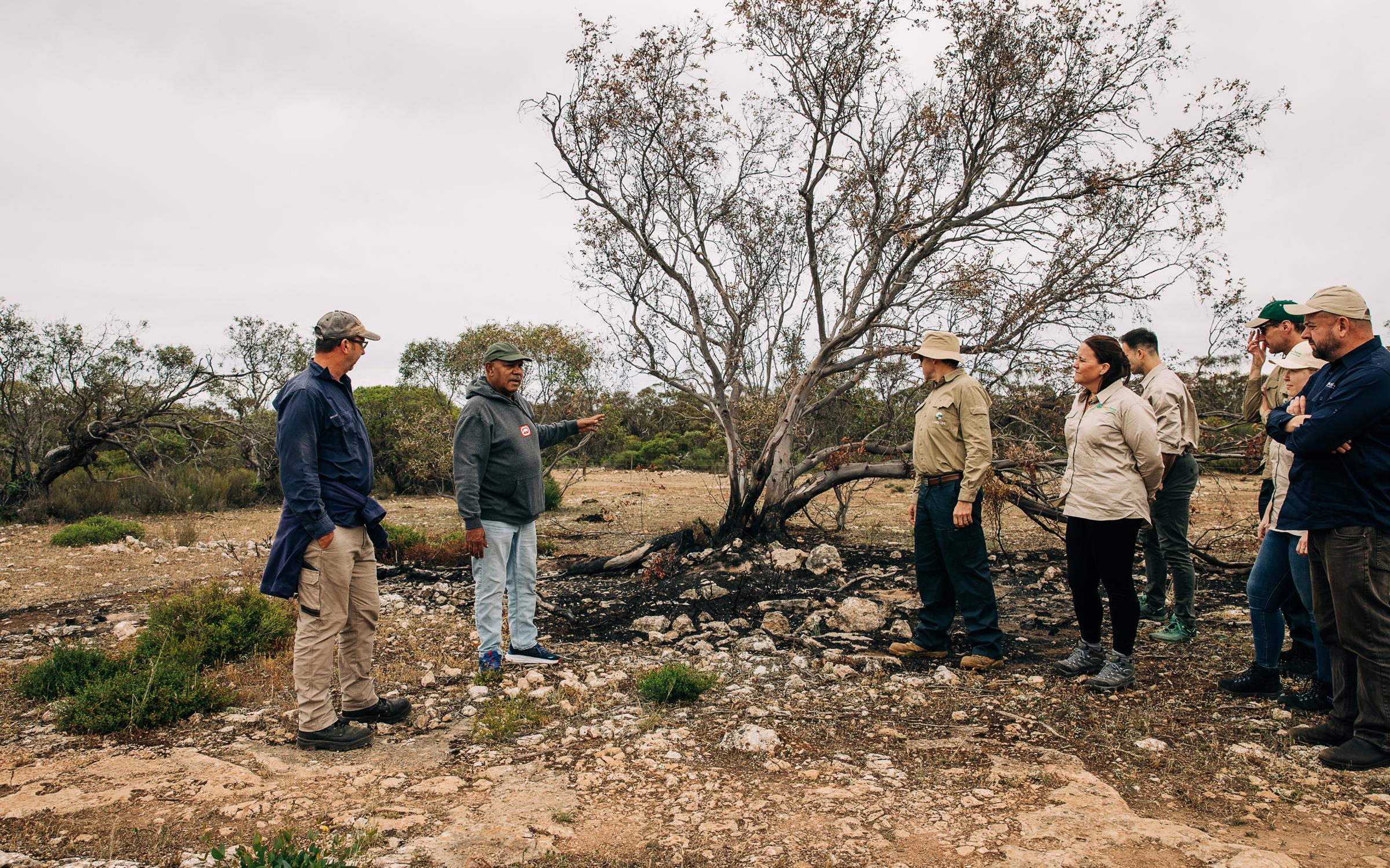 Wirangu Nauo Caring for Country on Eyre Peninsula