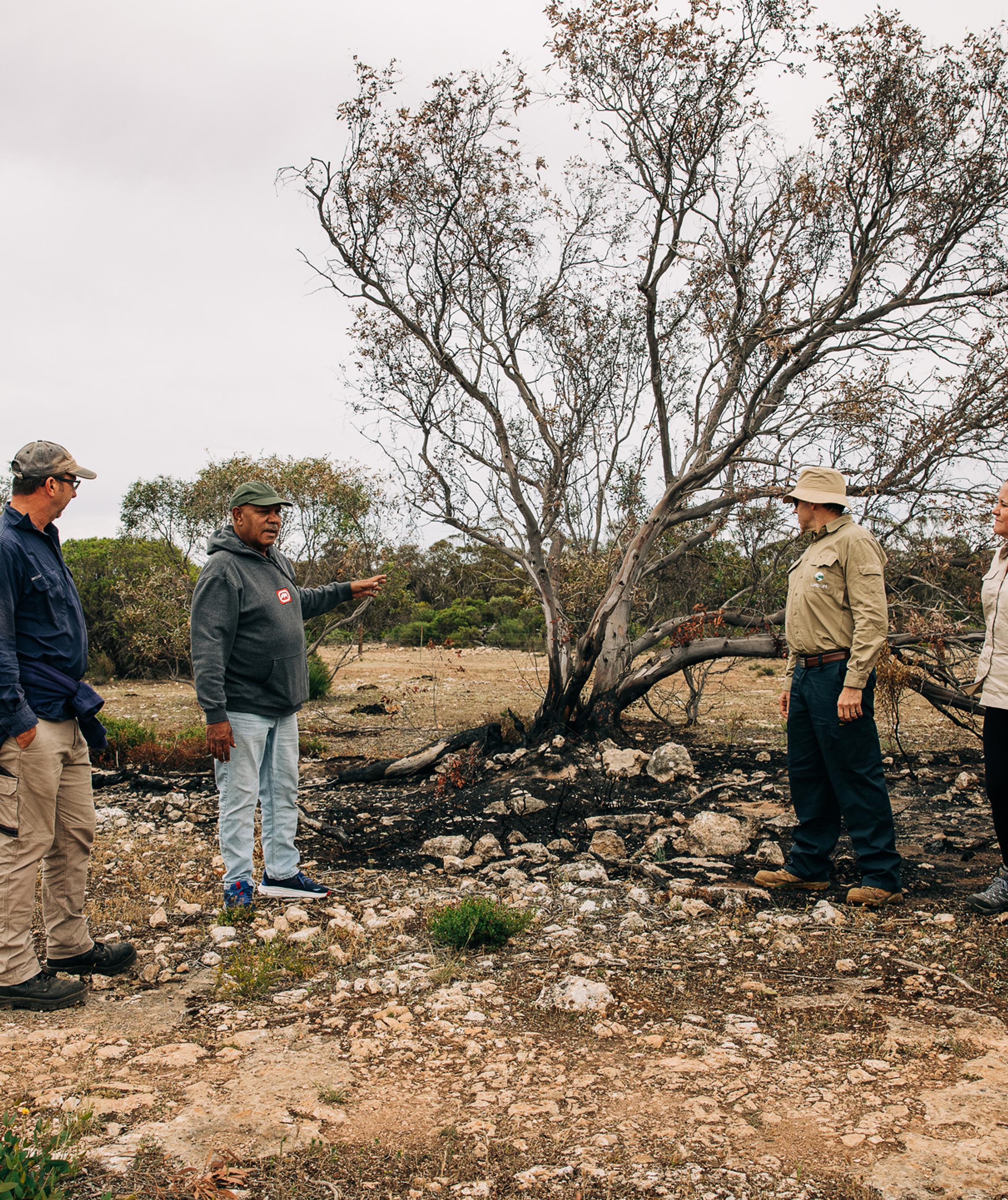 First Nations partnership at Talia: Reconnecting with country through nature restoration
