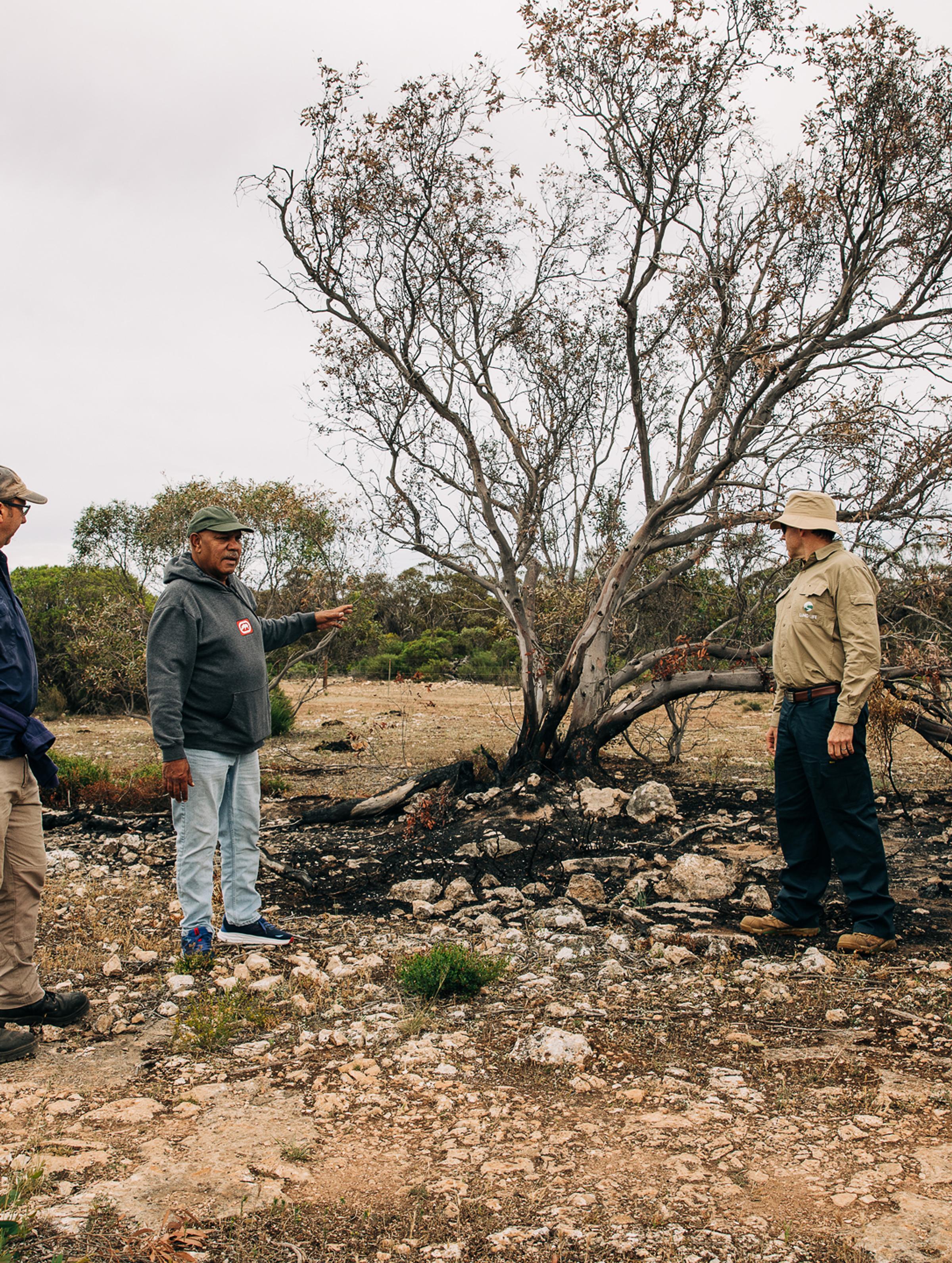 First Nations partnership at Talia: Reconnecting with country through nature restoration