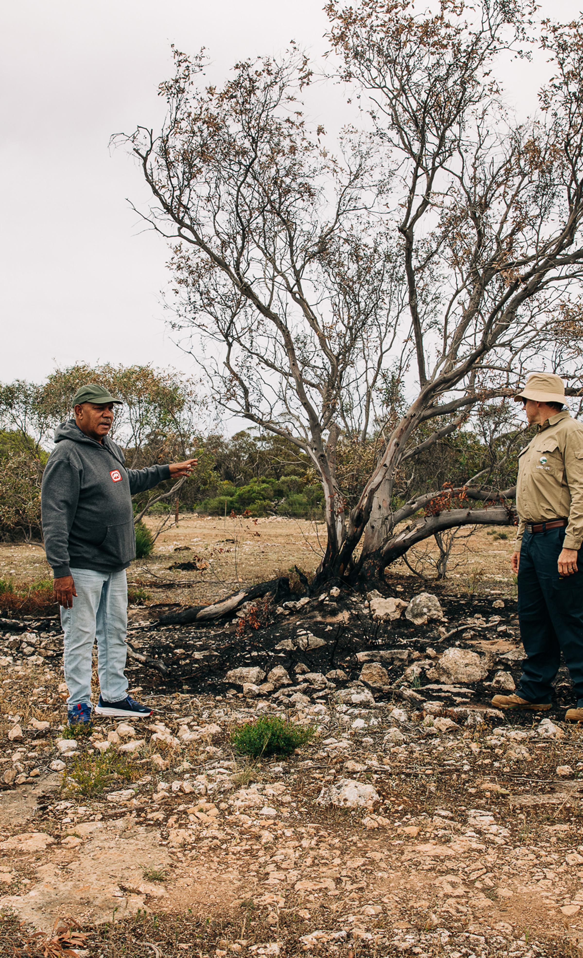 Wirangu Nauo Caring for Country on Eyre Peninsula