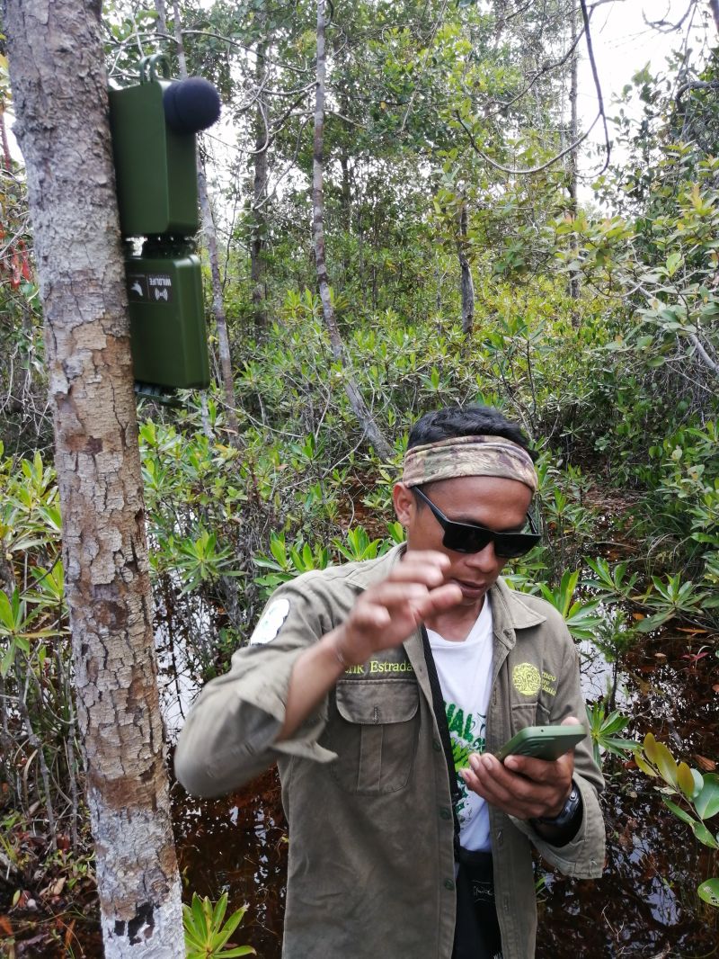 bioacoustics monitoring