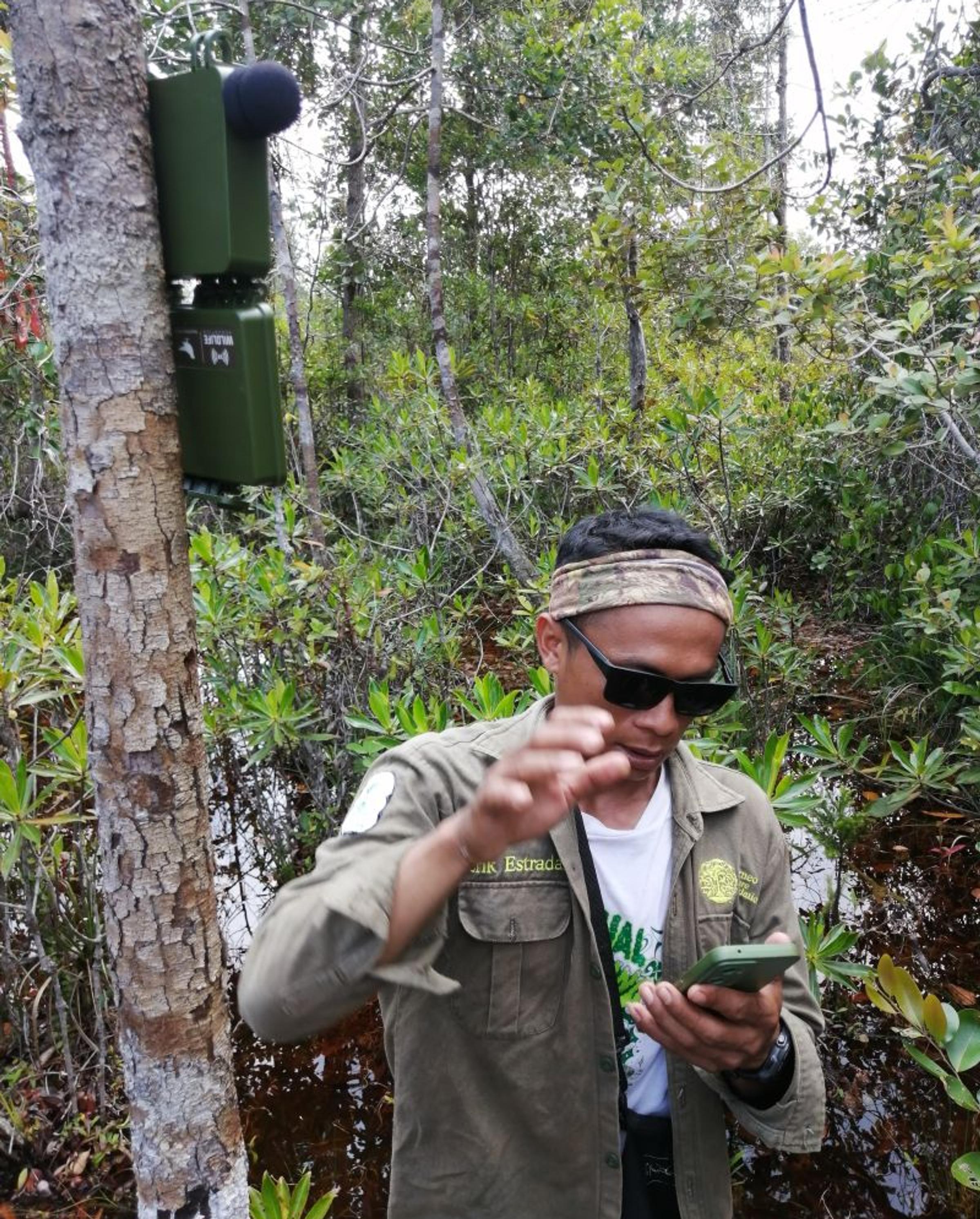 Borneo Orangutan Project | Nature Restoration | Land Life