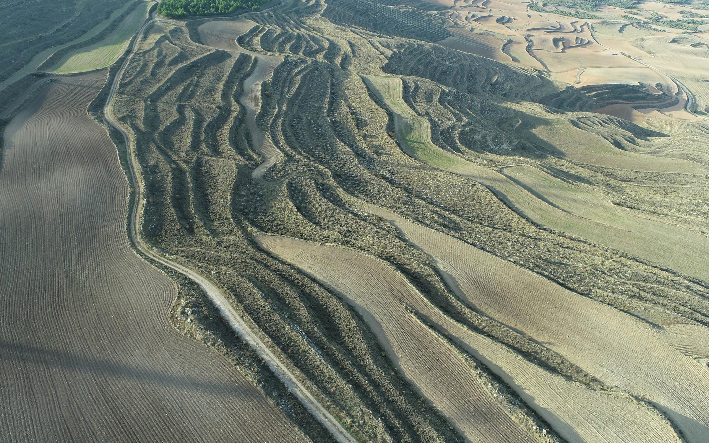 Carbon Product Developer