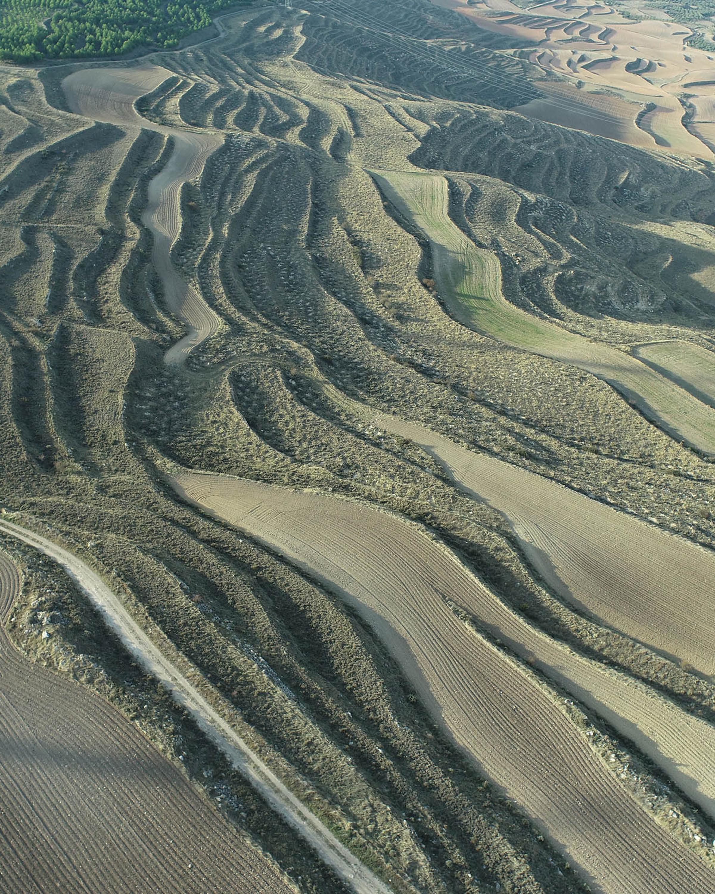 Ariel view of land restored for carbon offsets