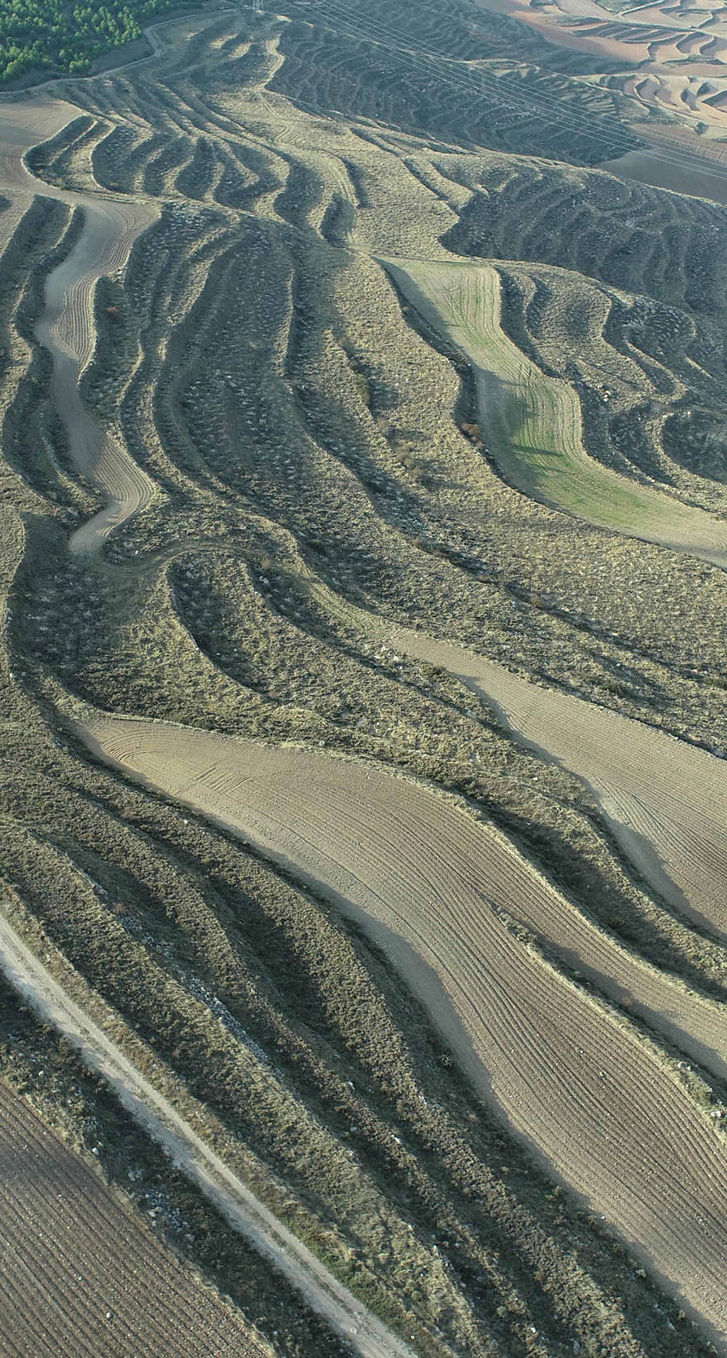 Ariel view of land restored for carbon offsets