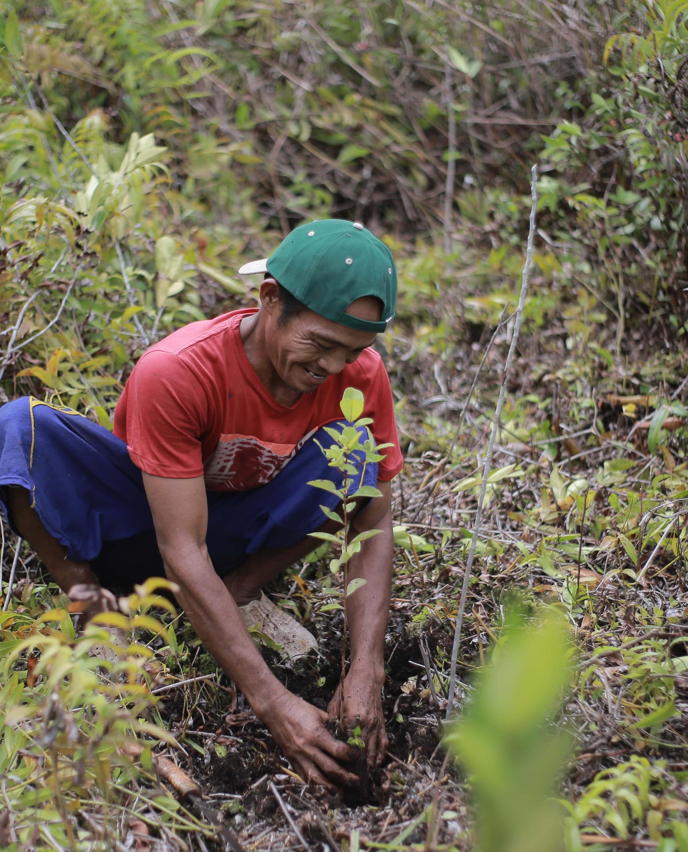 Borneo Orangutan Project | Nature Restoration | Land Life