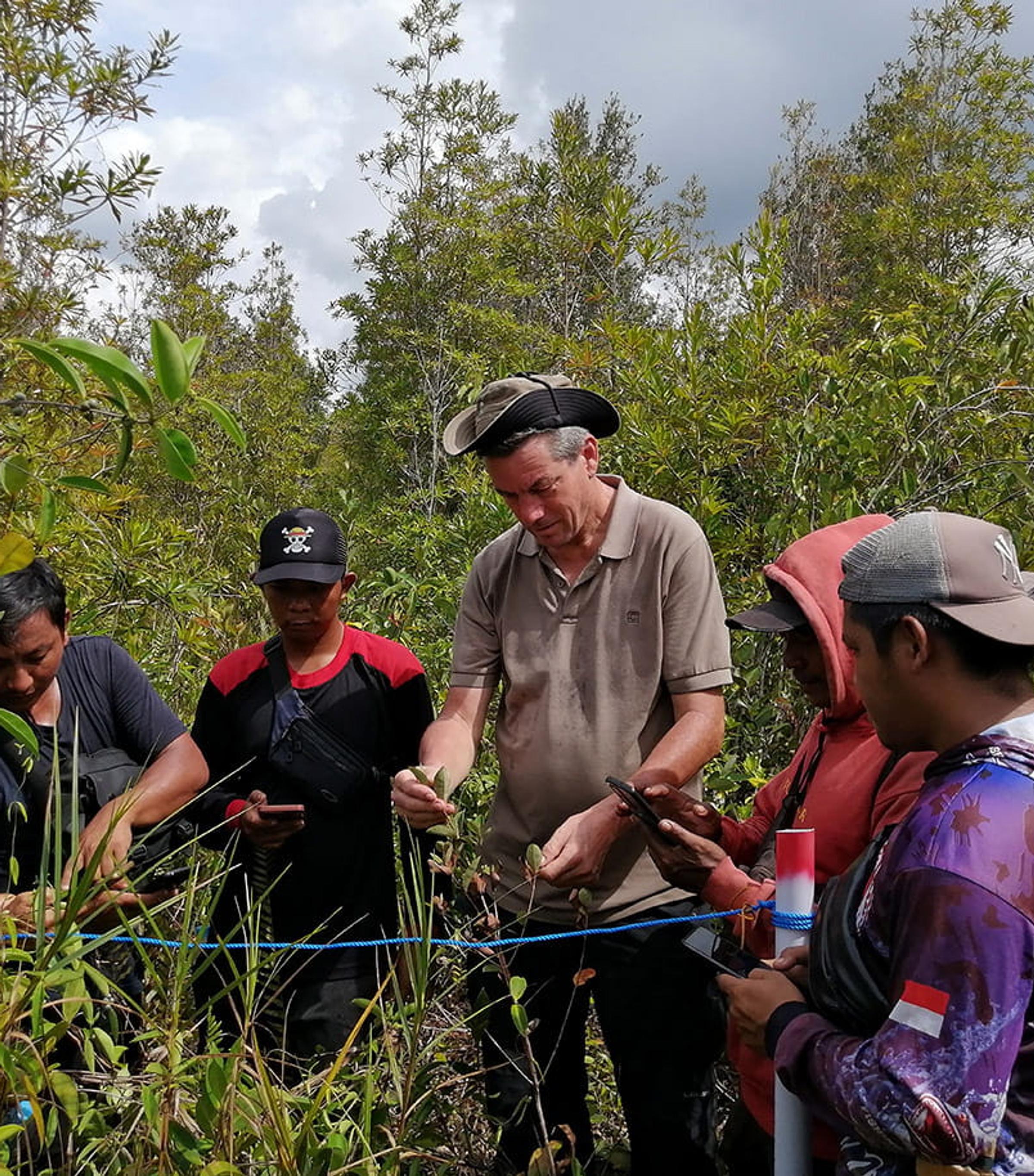 From the field in Borneo – building restoration monitoring together