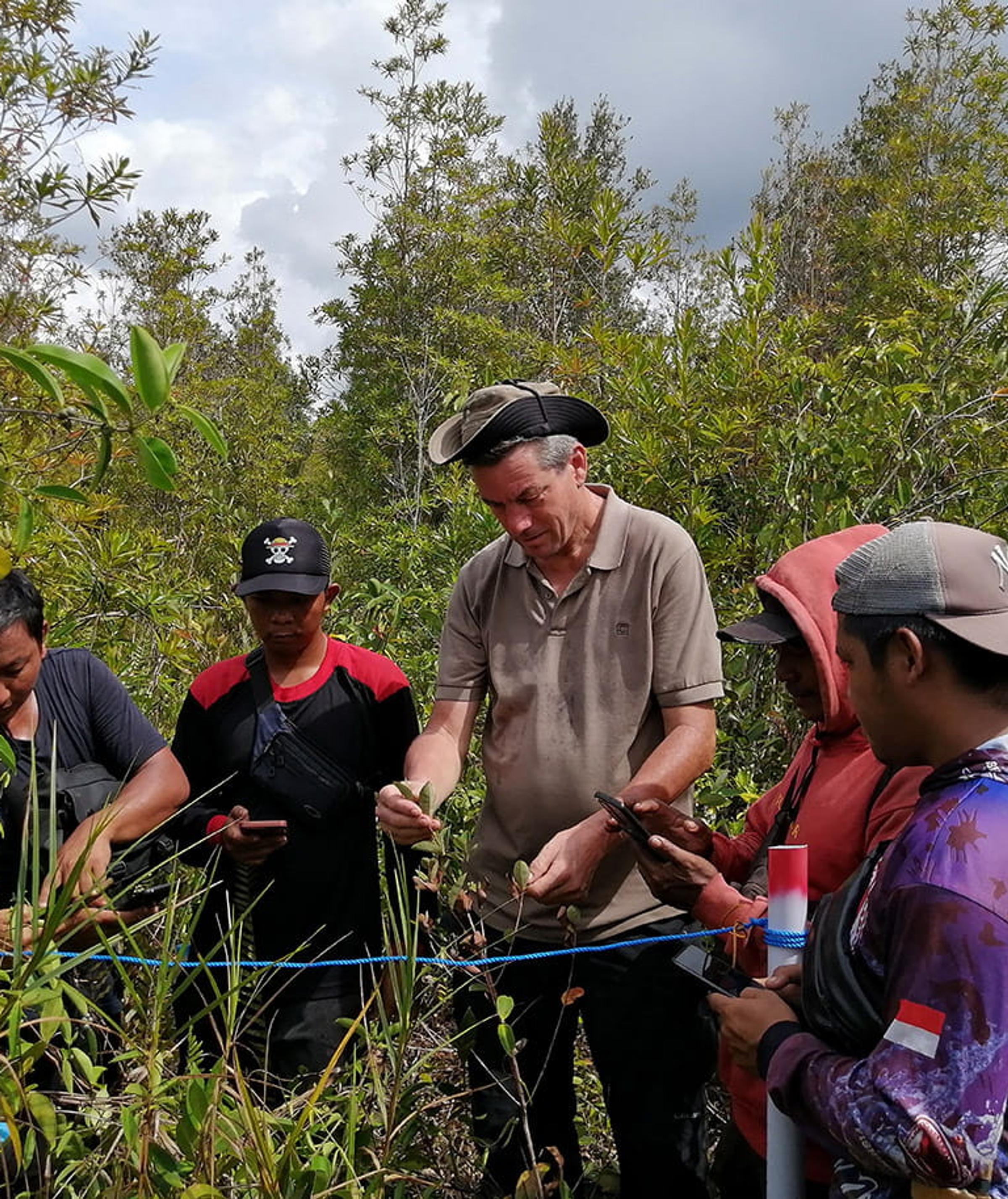 From the field in Borneo – building restoration monitoring together