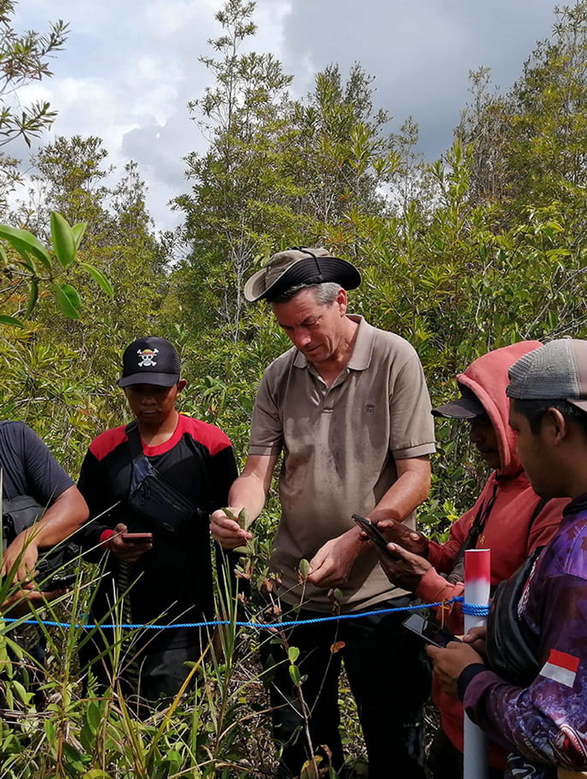 From the field in Borneo – building restoration monitoring together