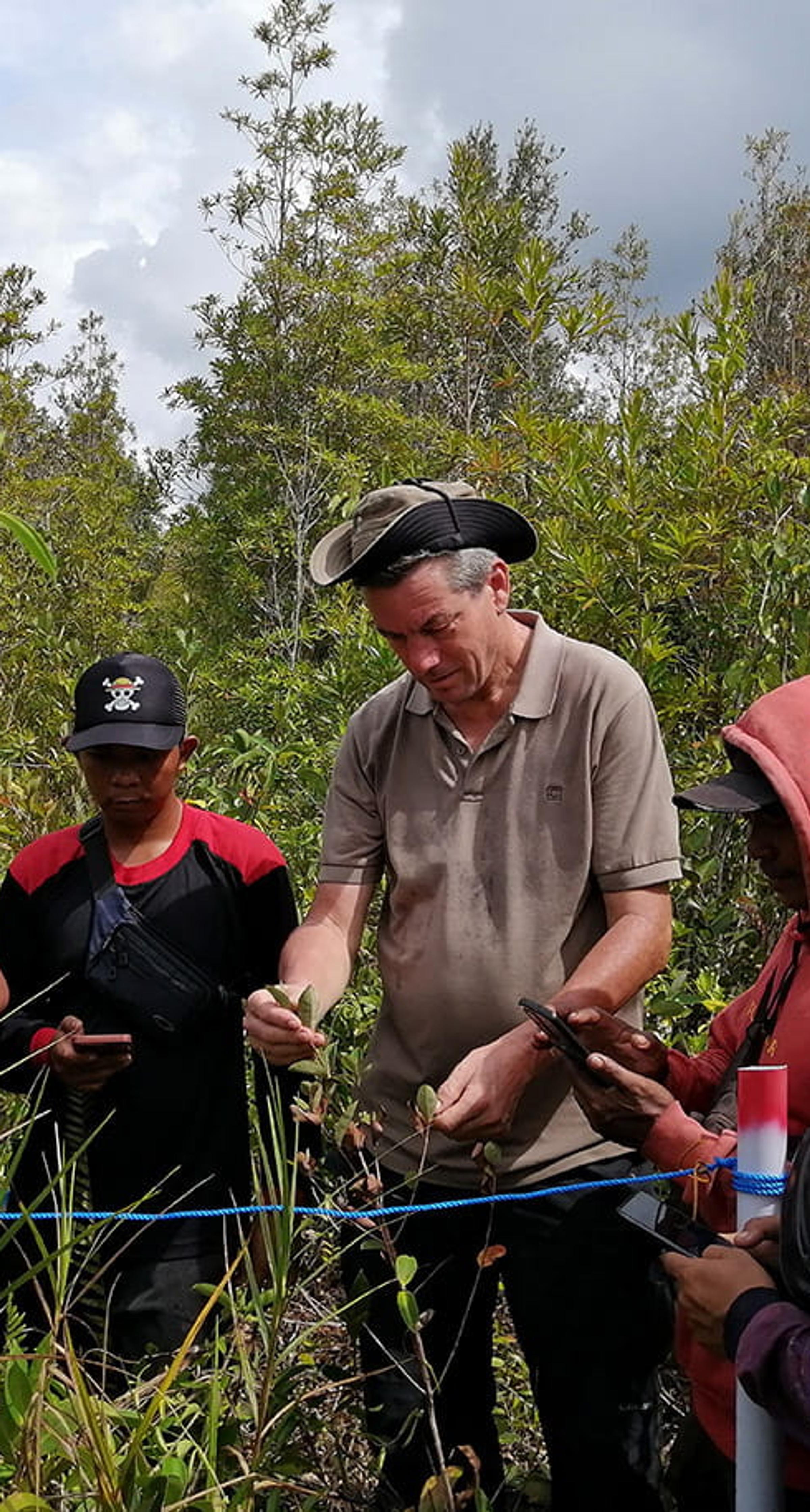 Monitoring restoration growth in Borneo Indonesia