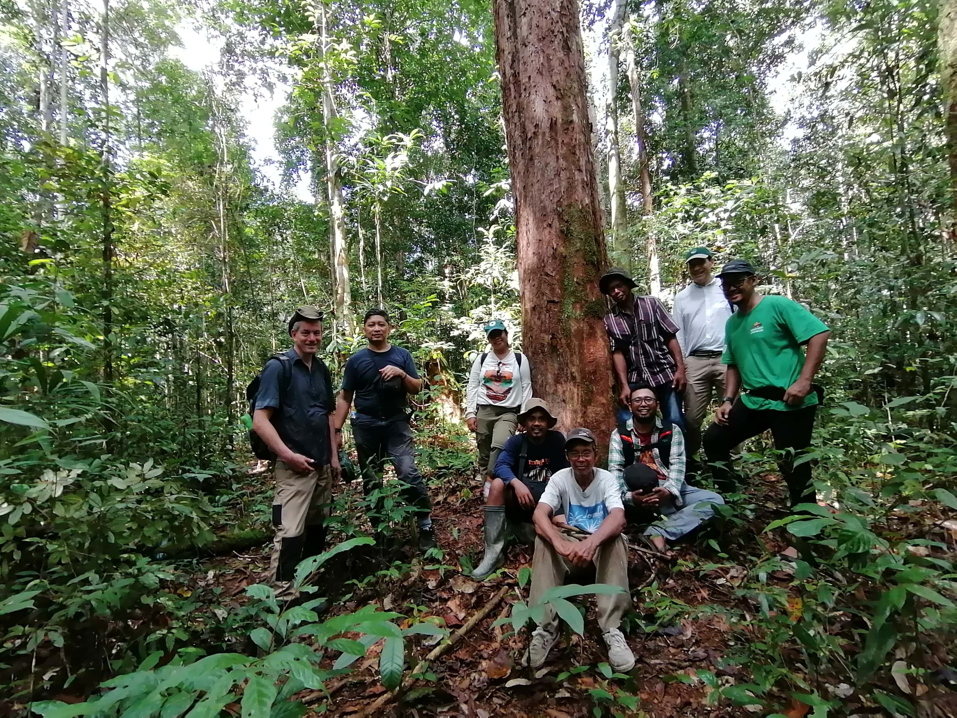 Restoring Critical Orangutan Habitat in Borneo with BOSF