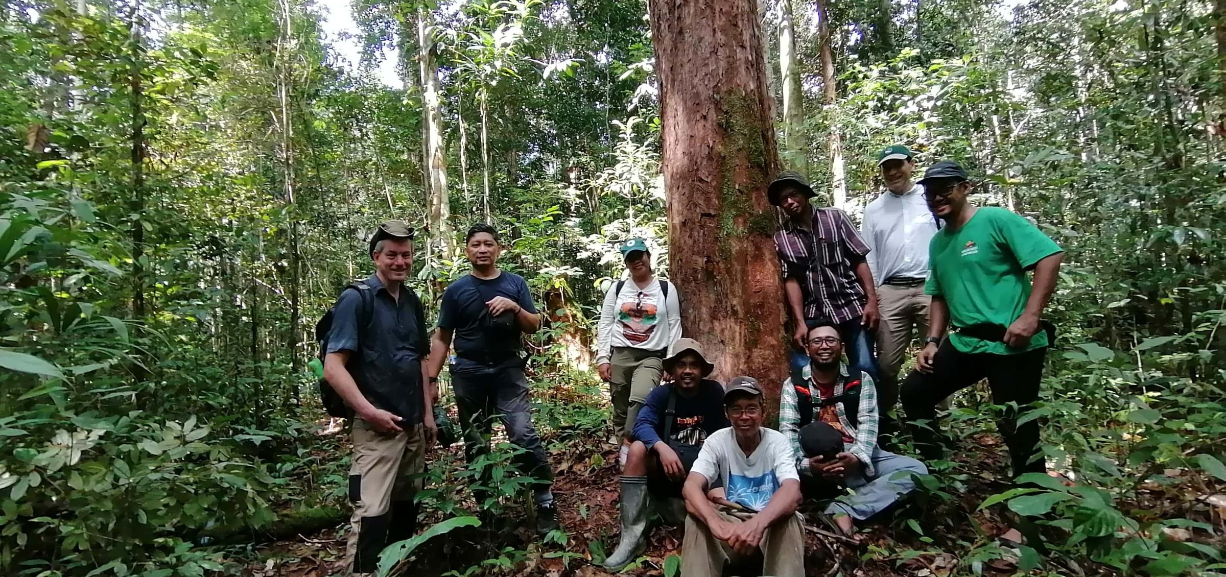 Restoring Critical Orangutan Habitat in Borneo with BOSF