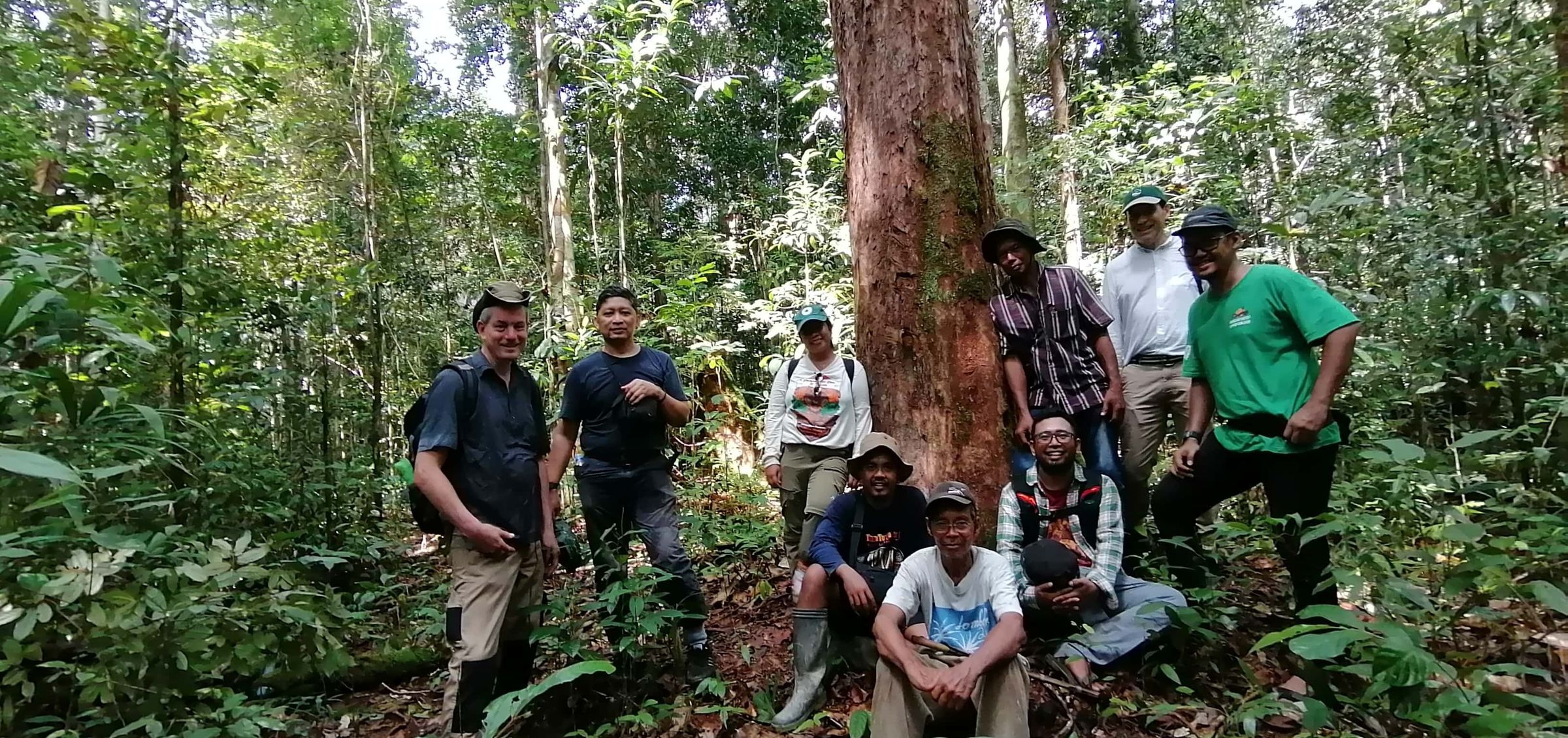 Restoring Critical Orangutan Habitat in Borneo with BOSF