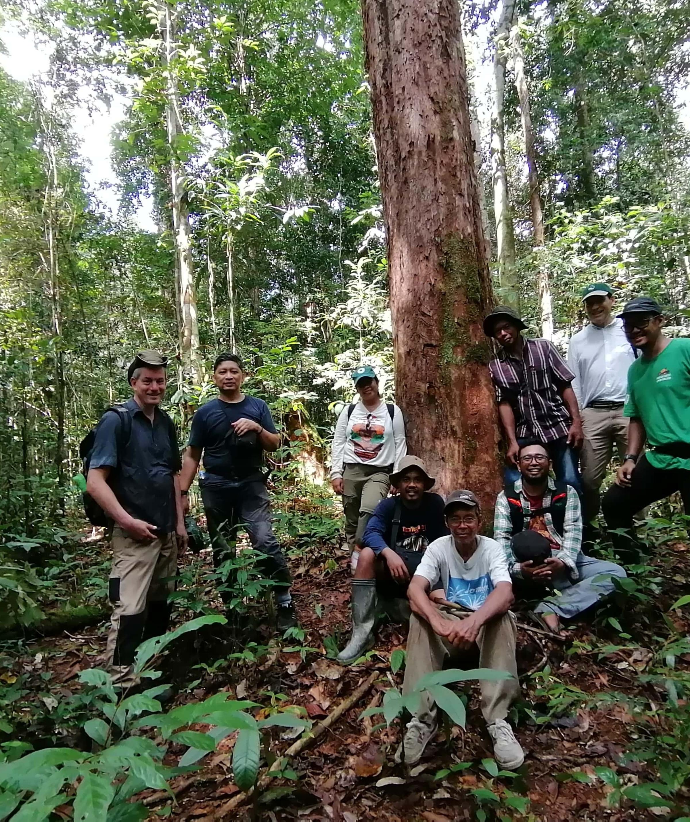 Restoring Critical Orangutan Habitat in Borneo with BOSF