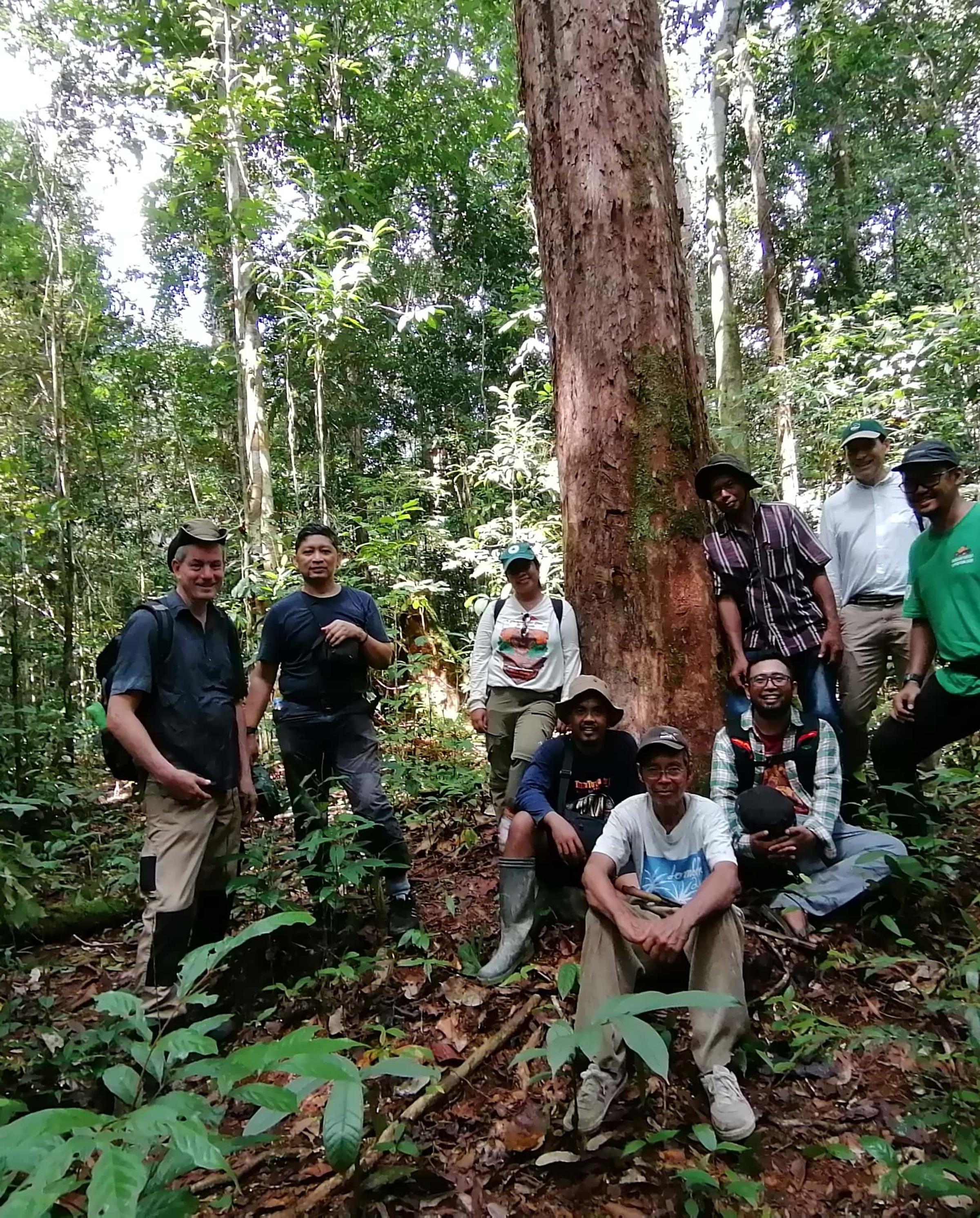 Borneo Orangutan Project | Nature Restoration | Land Life