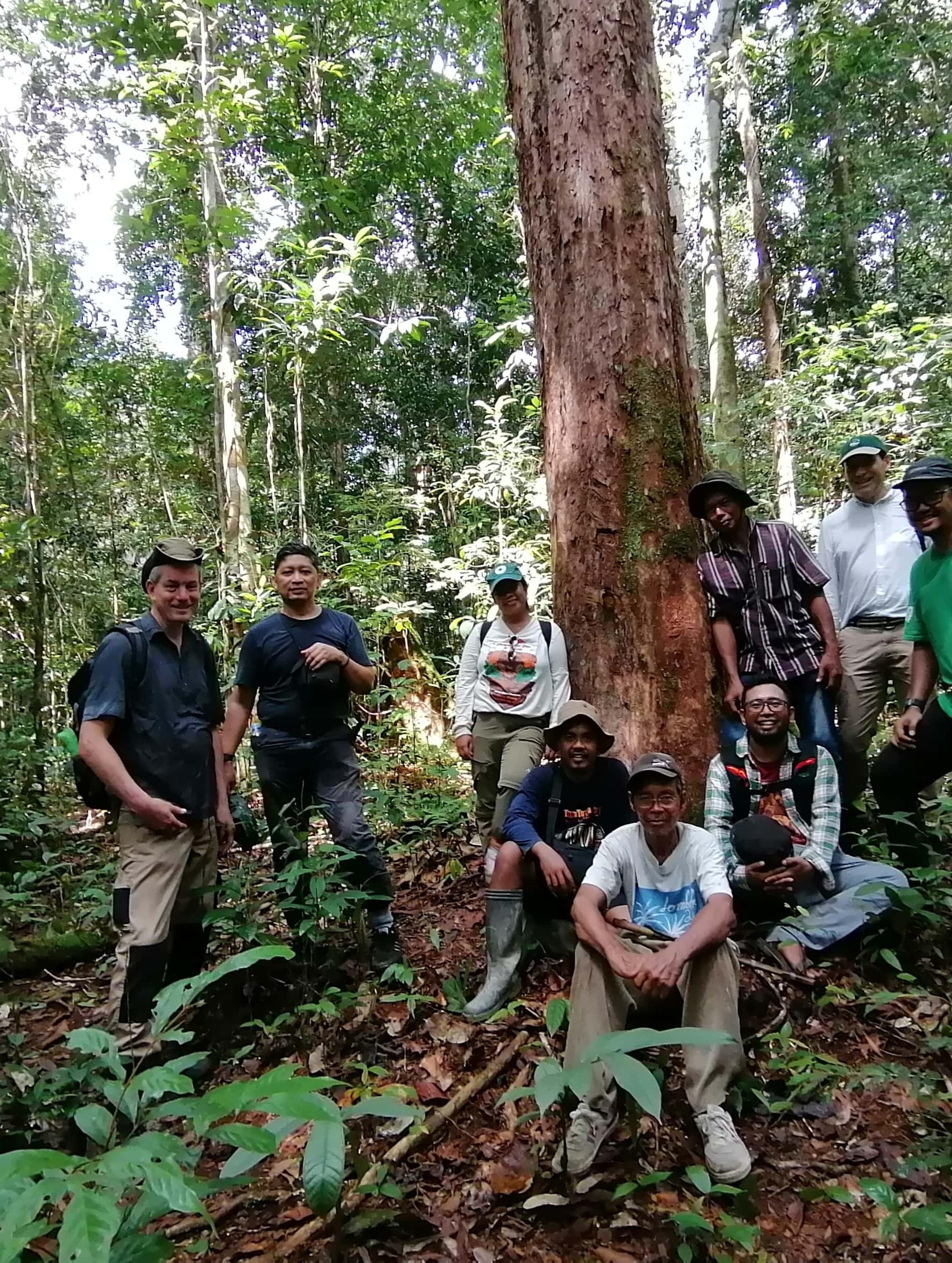 Restoring Critical Orangutan Habitat in Borneo with BOSF