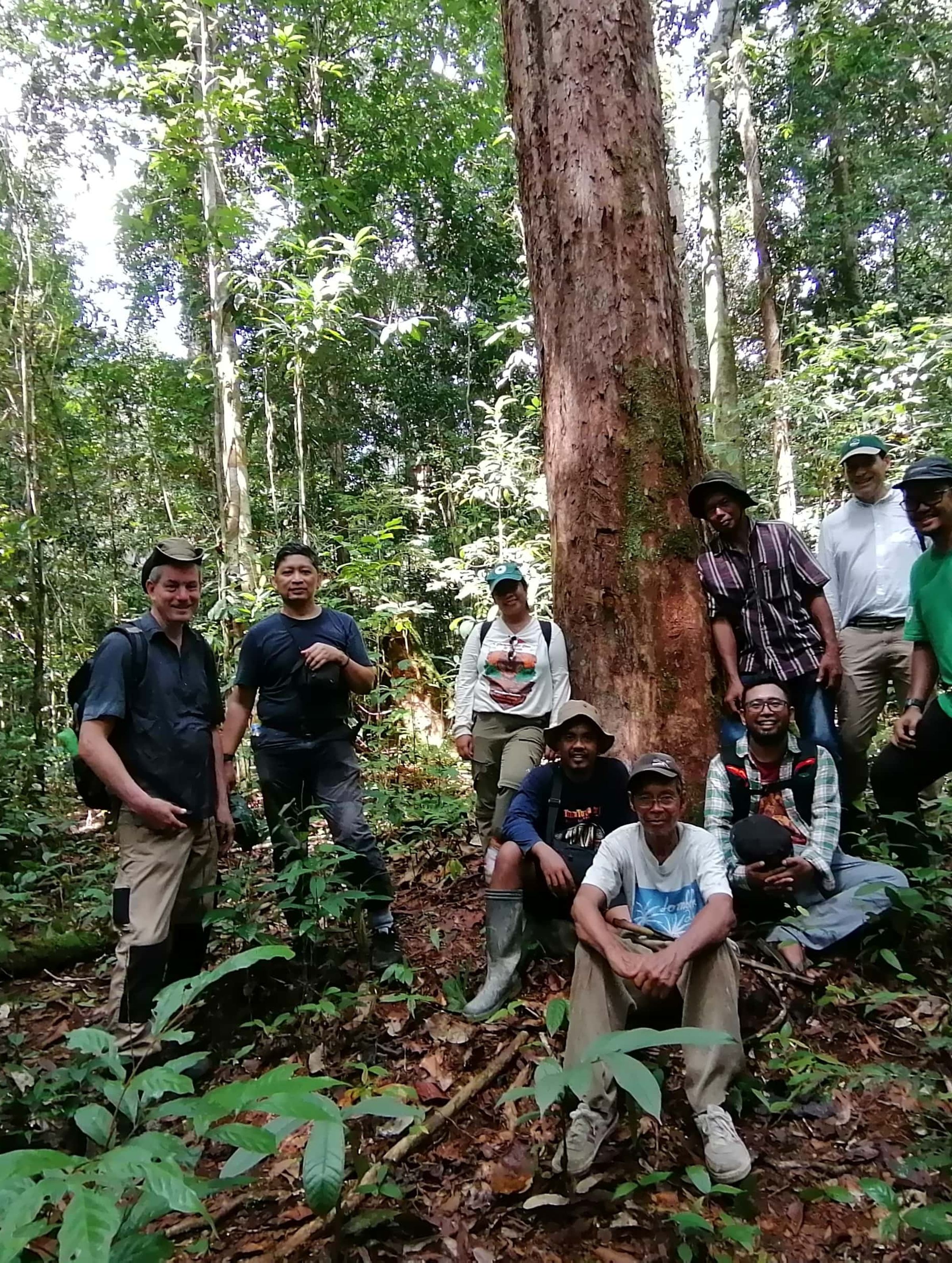 Restoring Critical Orangutan Habitat in Borneo with BOSF