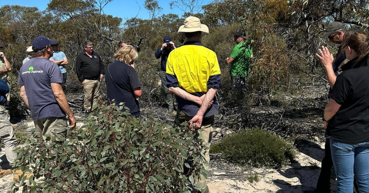 Wirangu Nauo Traditional Land Management Workshop