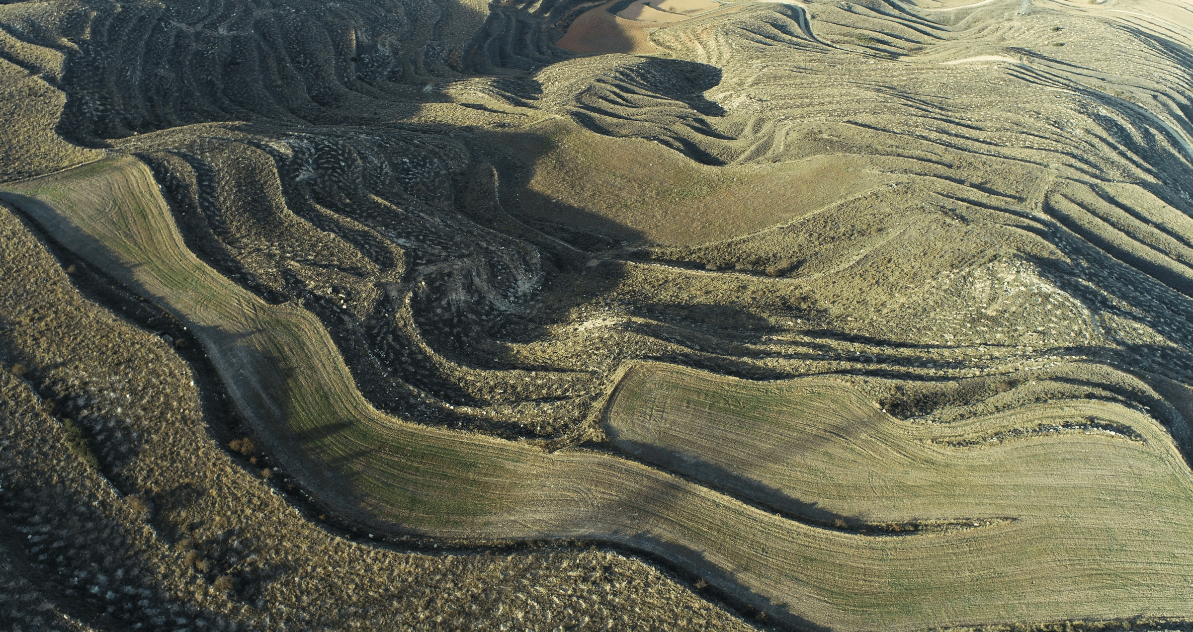 Reverting Rural Abandonment in Aragón, Spain