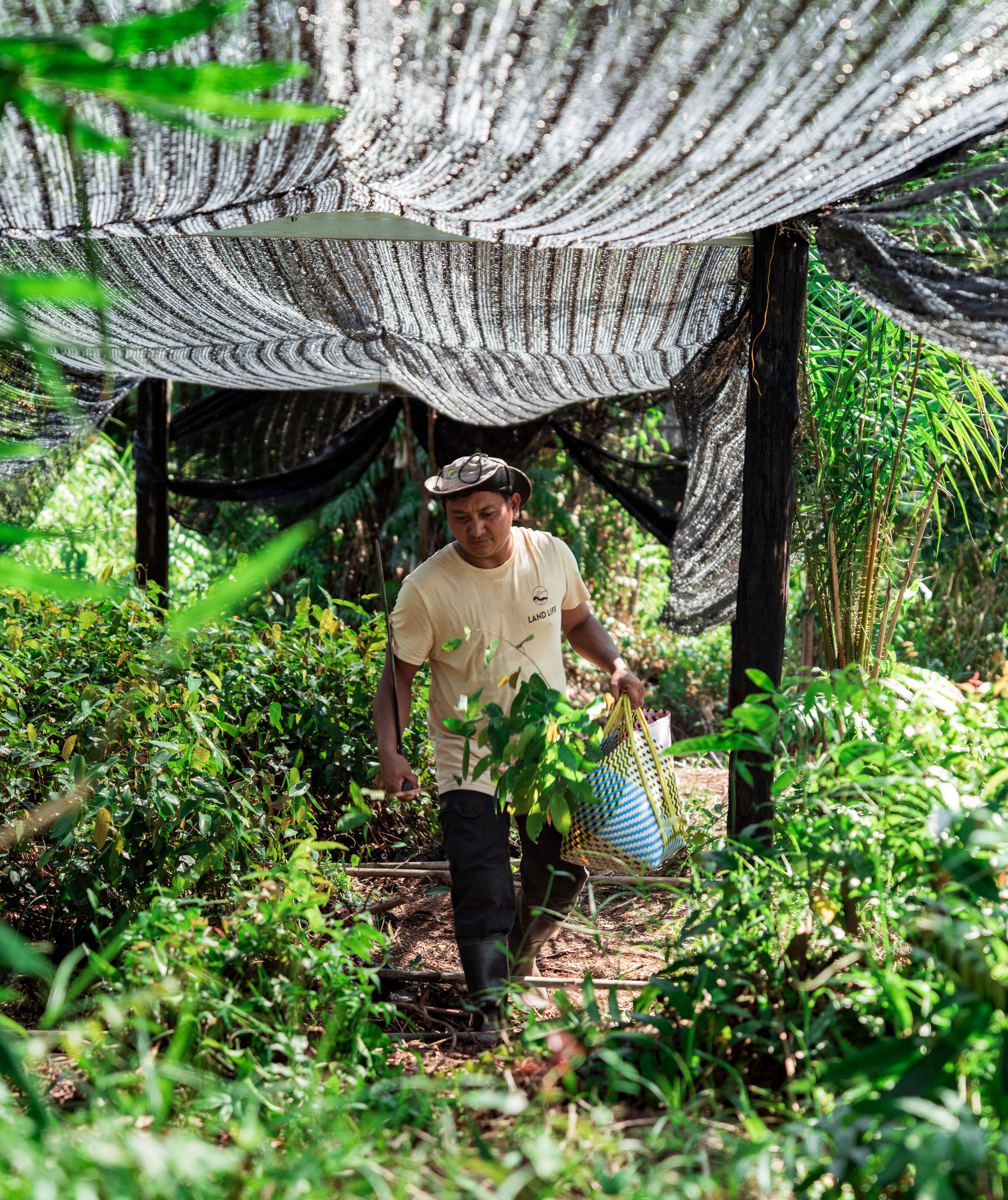 Power through Nature: Measuring the Social and Environmental Value of Reforestation