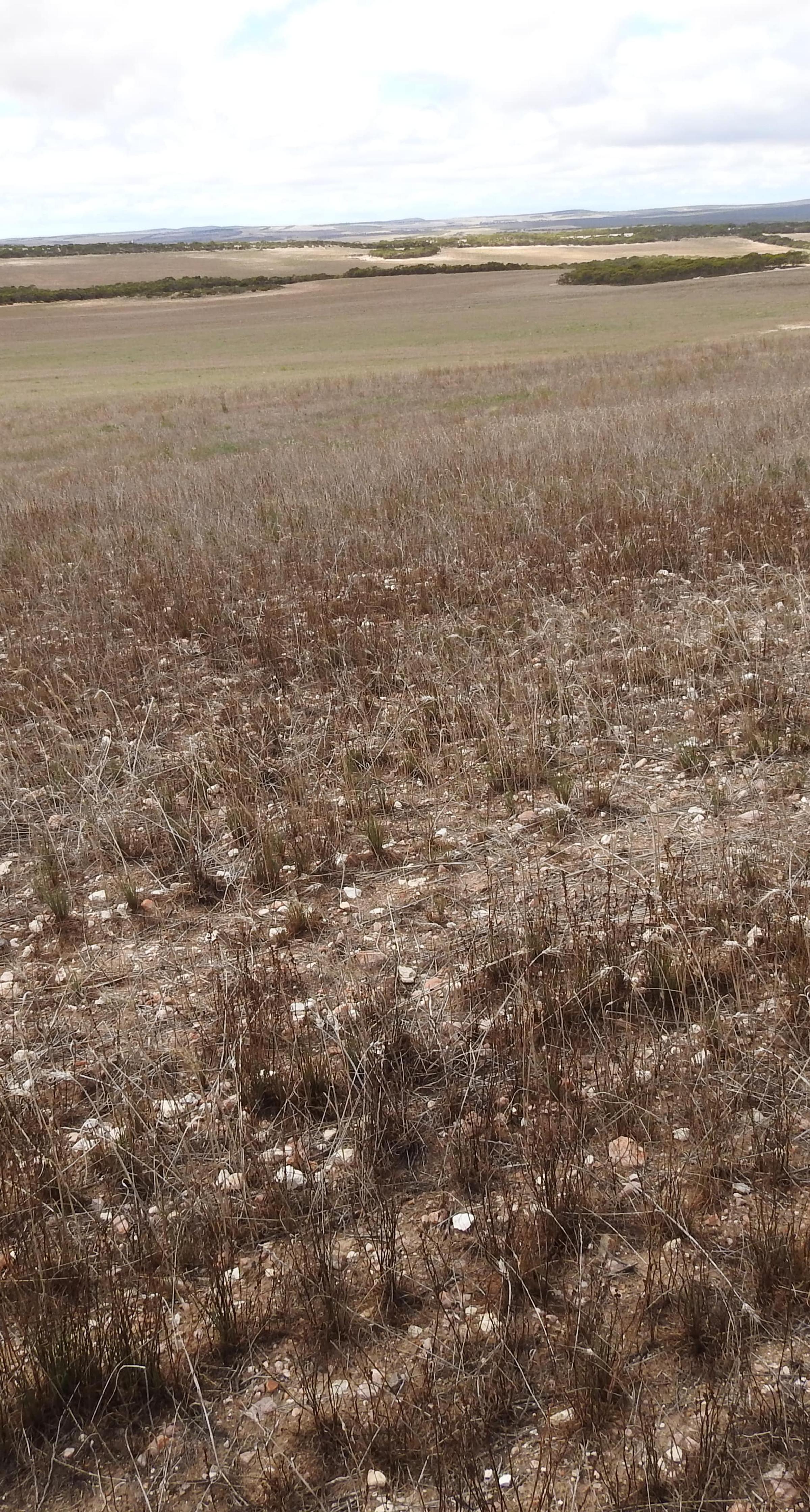 Degraded land in South Australia