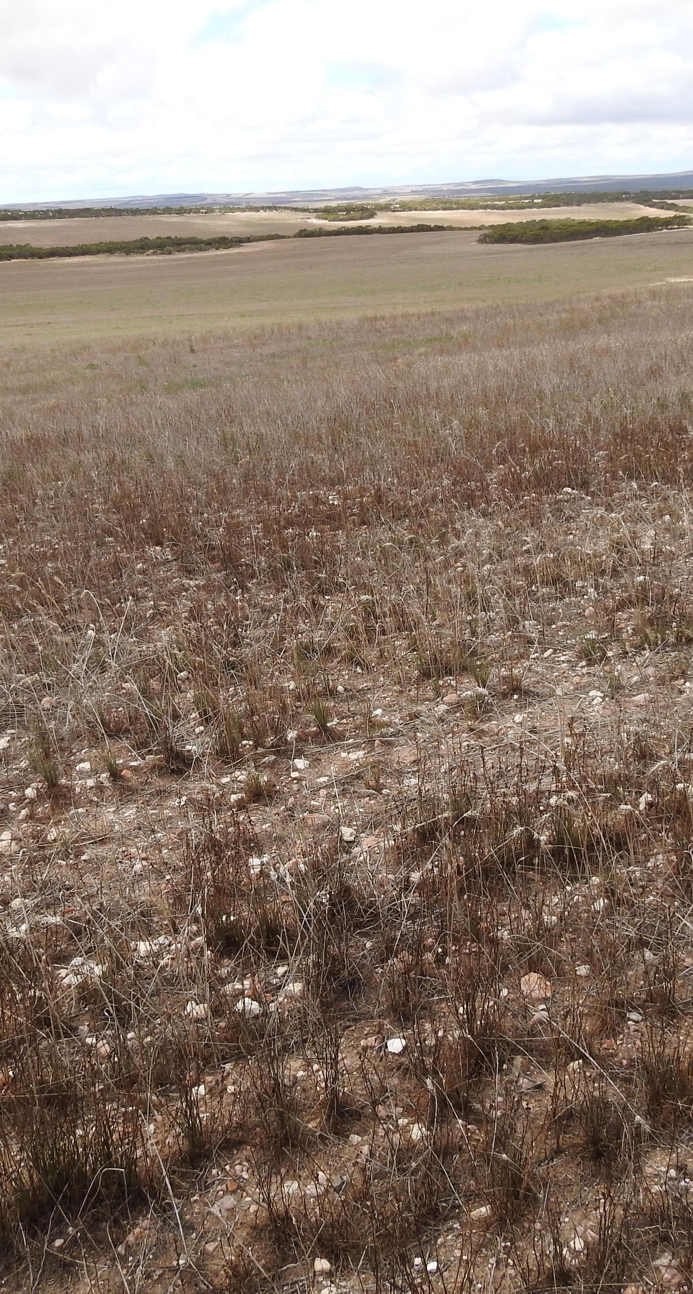 Degraded land in South Australia