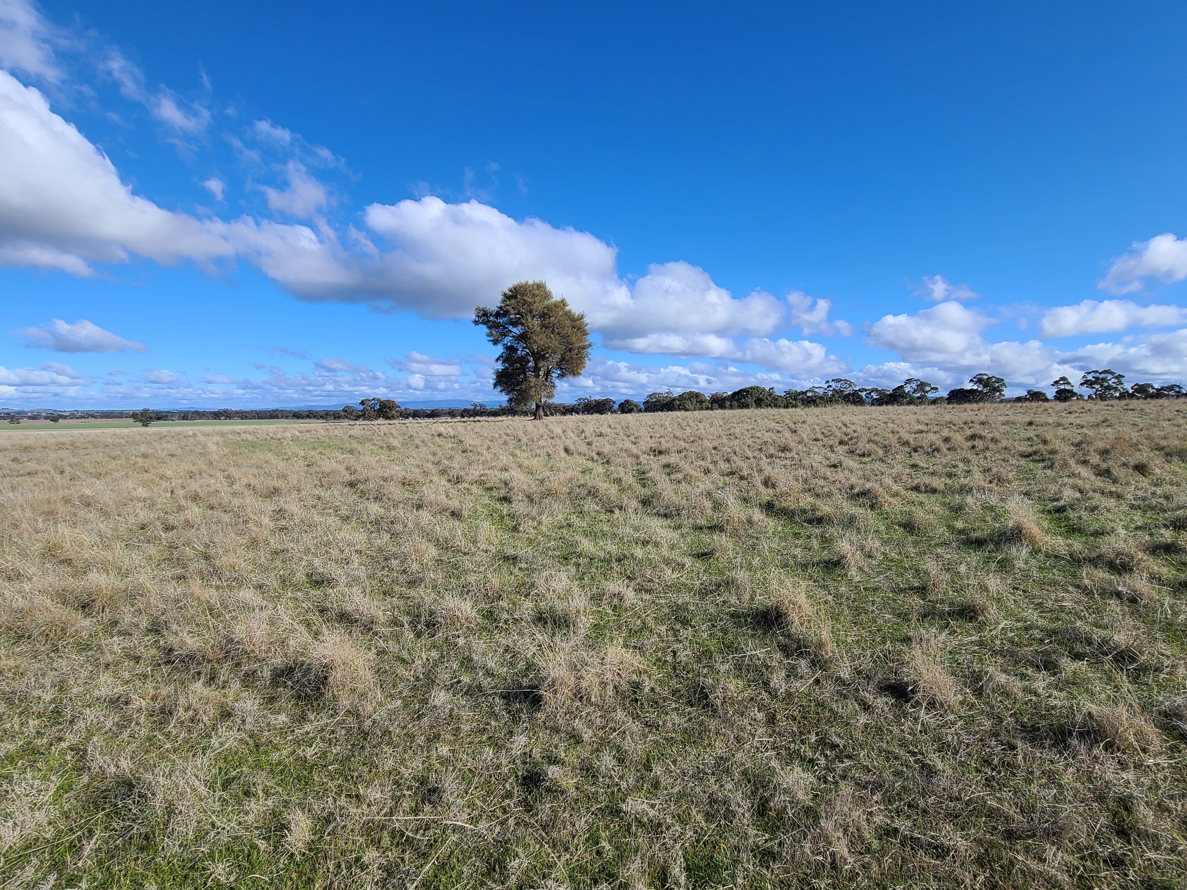 Degraded land in Victoria Australia