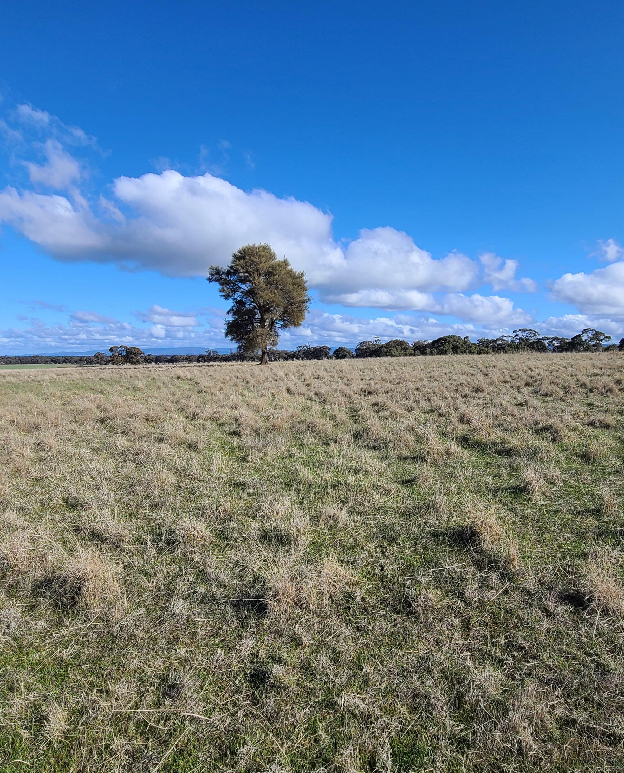 Degraded land in Victoria Australia
