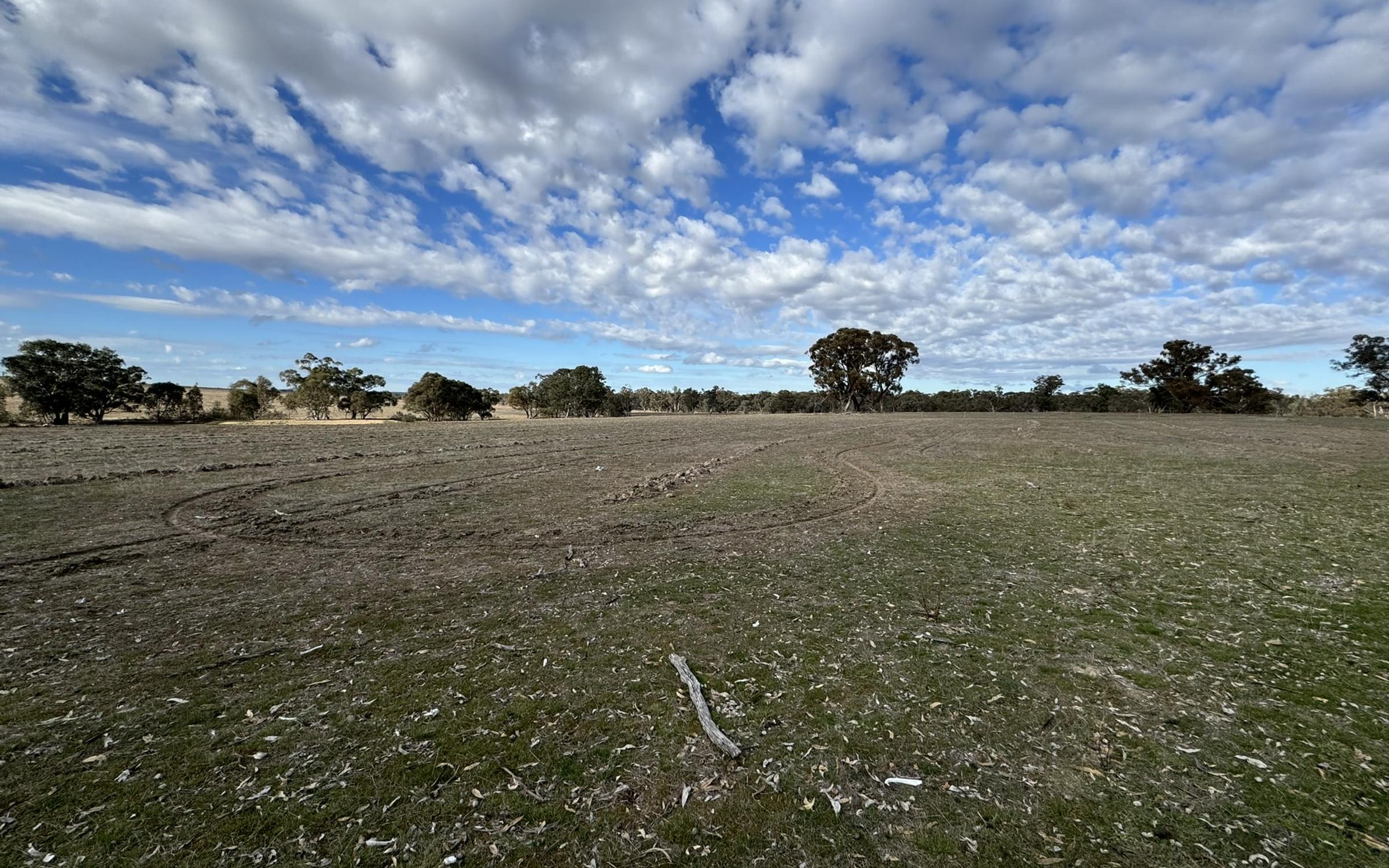Degraded land at Emu Victoria