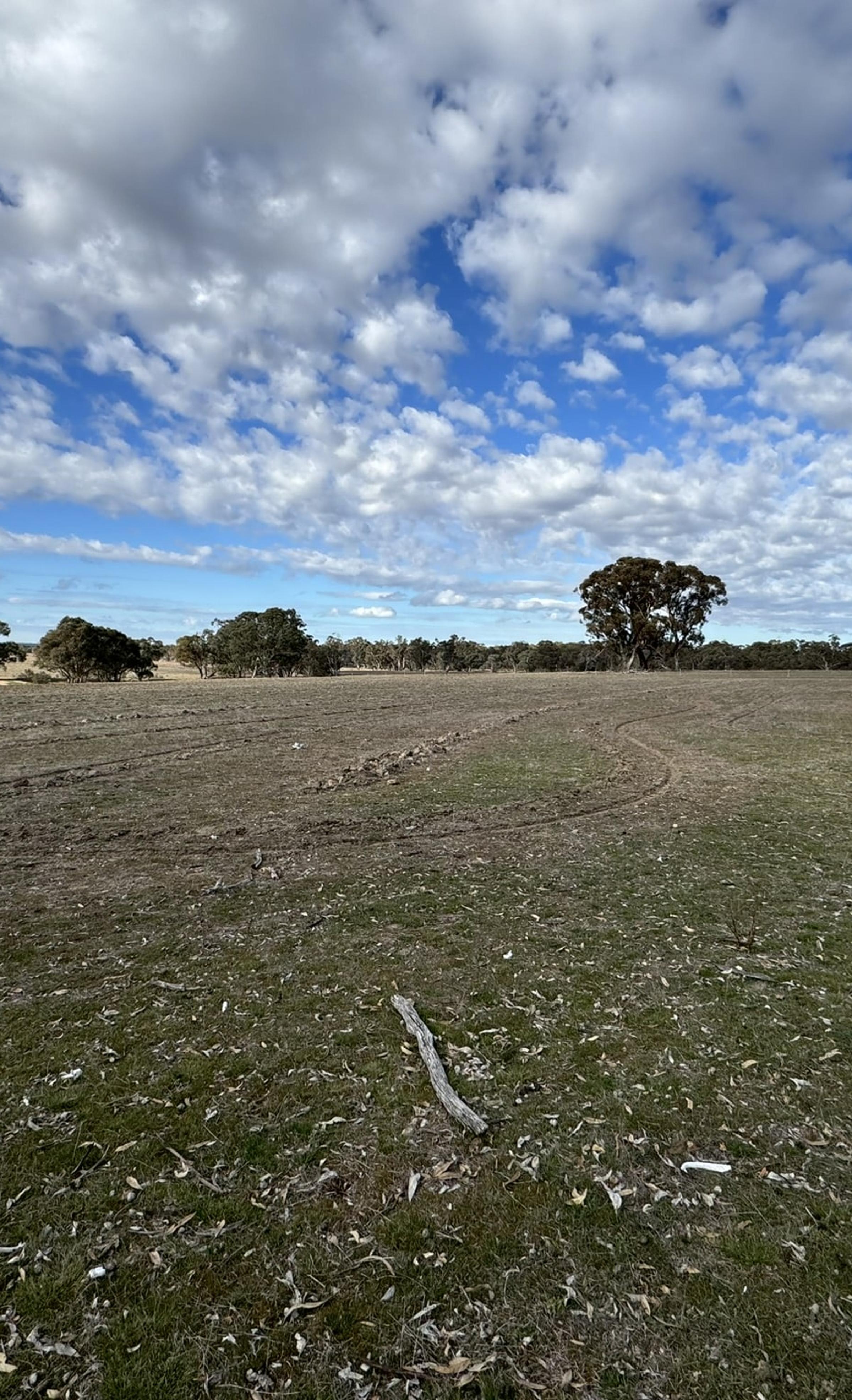 Degraded land at Emu Victoria