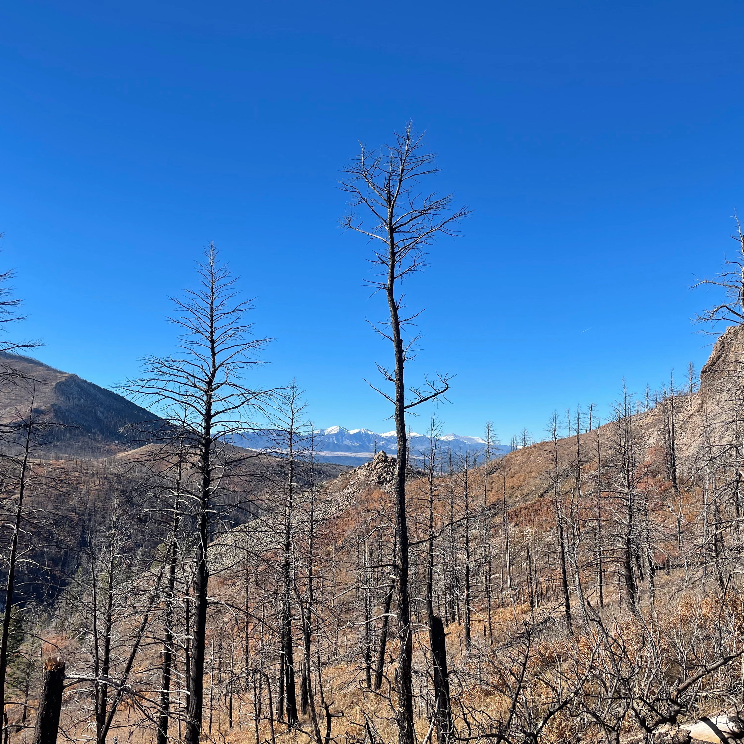 Degraded land in the US